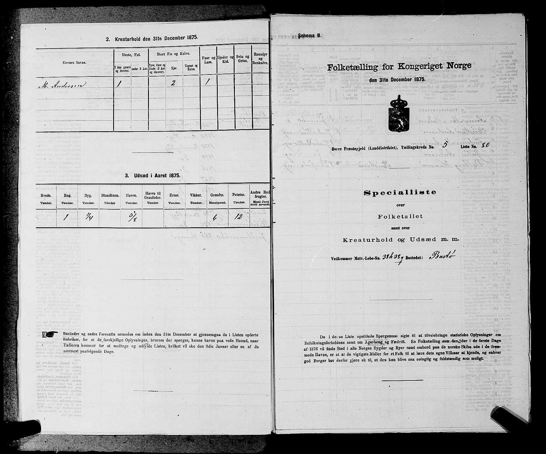 SAKO, 1875 census for 0717L Borre/Borre og Nykirke, 1875, p. 1002