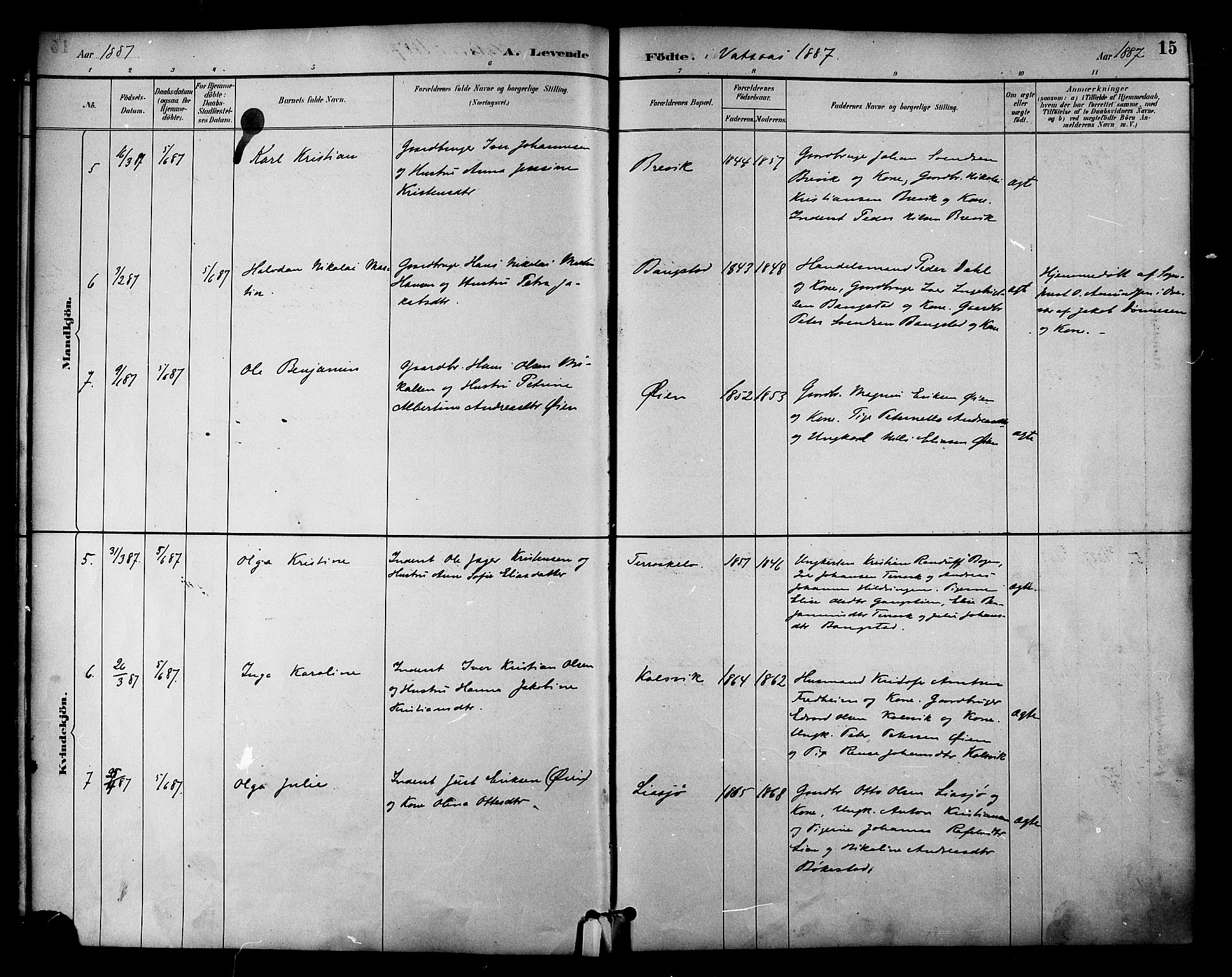 Ministerialprotokoller, klokkerbøker og fødselsregistre - Nordland, AV/SAT-A-1459/810/L0150: Parish register (official) no. 810A10 /1, 1884-1895, p. 15