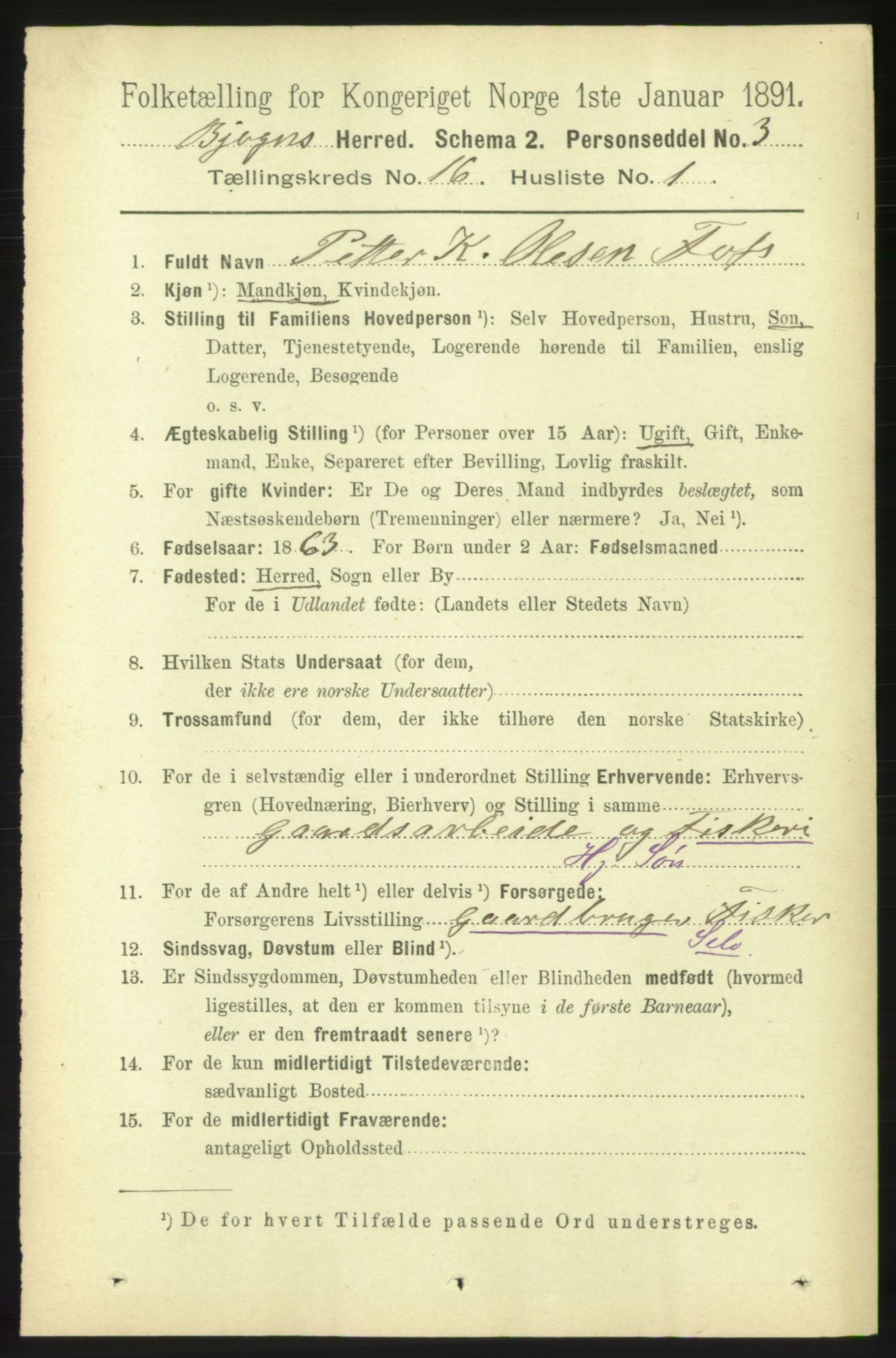 RA, 1891 census for 1627 Bjugn, 1891, p. 4422