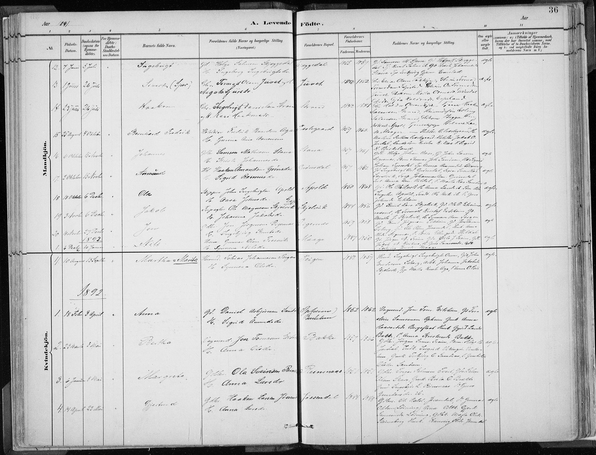 Odda Sokneprestembete, SAB/A-77201/H/Haa: Parish register (official) no. A  3, 1882-1913, p. 36