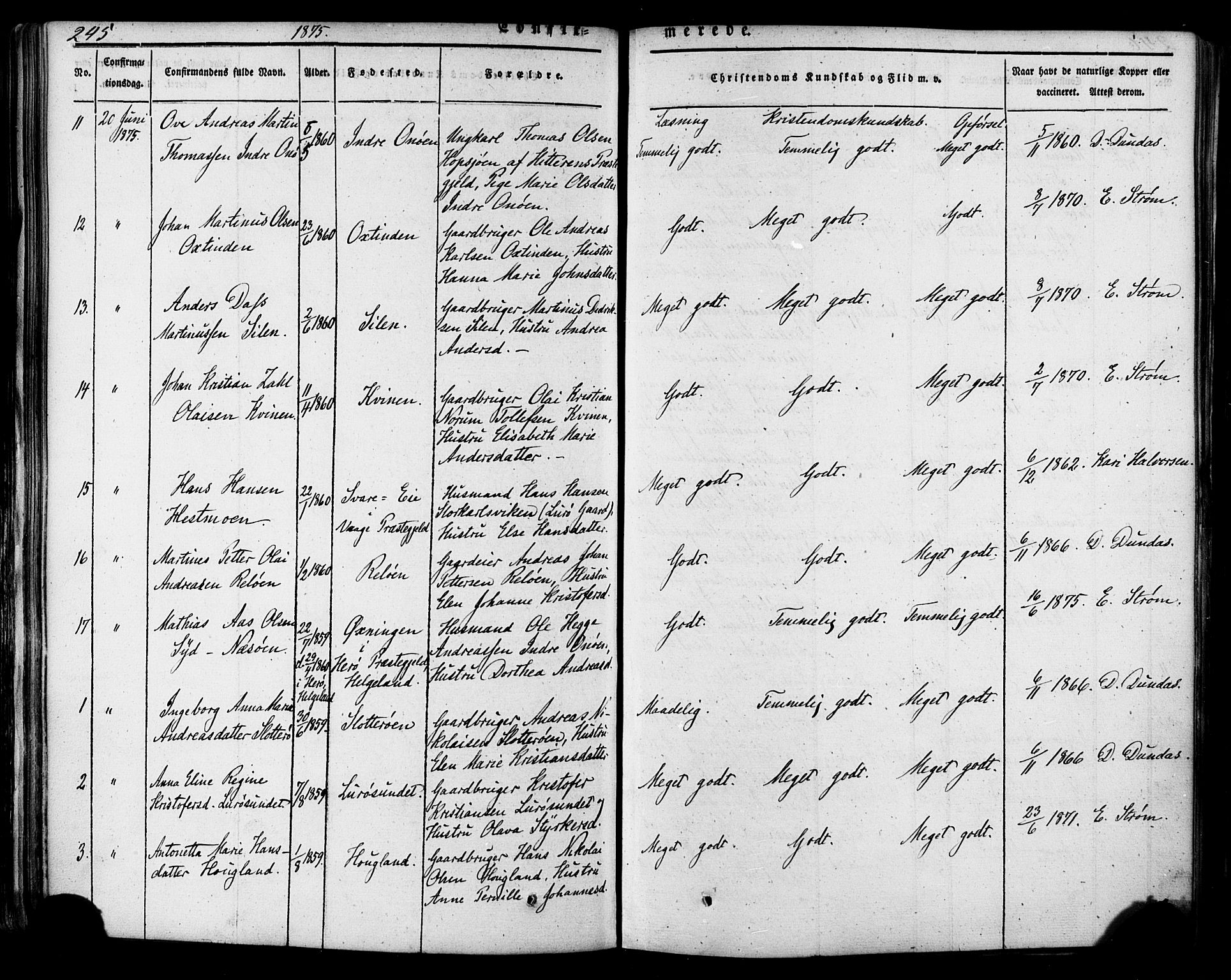 Ministerialprotokoller, klokkerbøker og fødselsregistre - Nordland, AV/SAT-A-1459/839/L0567: Parish register (official) no. 839A04, 1863-1879, p. 245