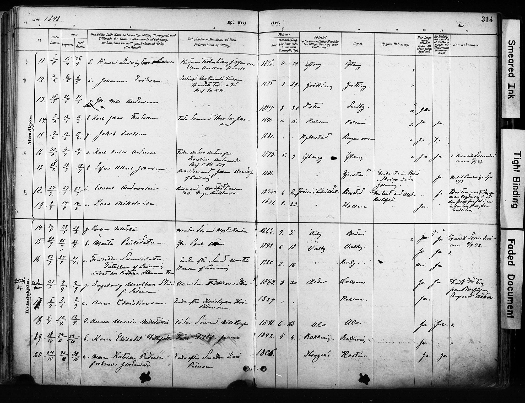 Tjølling kirkebøker, AV/SAKO-A-60/F/Fa/L0009: Parish register (official) no. 9, 1887-1905, p. 314