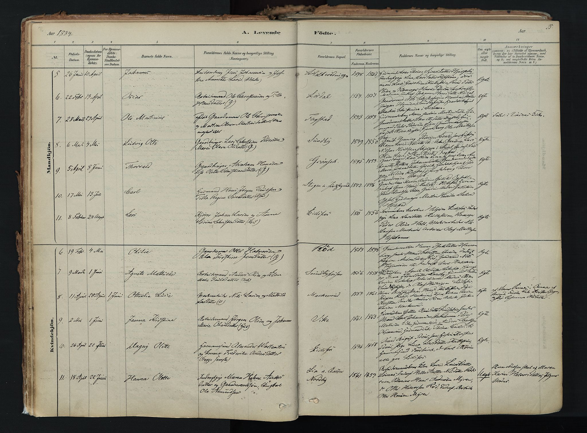 Hof kirkebøker, AV/SAKO-A-64/F/Fa/L0007: Parish register (official) no. I 7, 1878-1940, p. 25