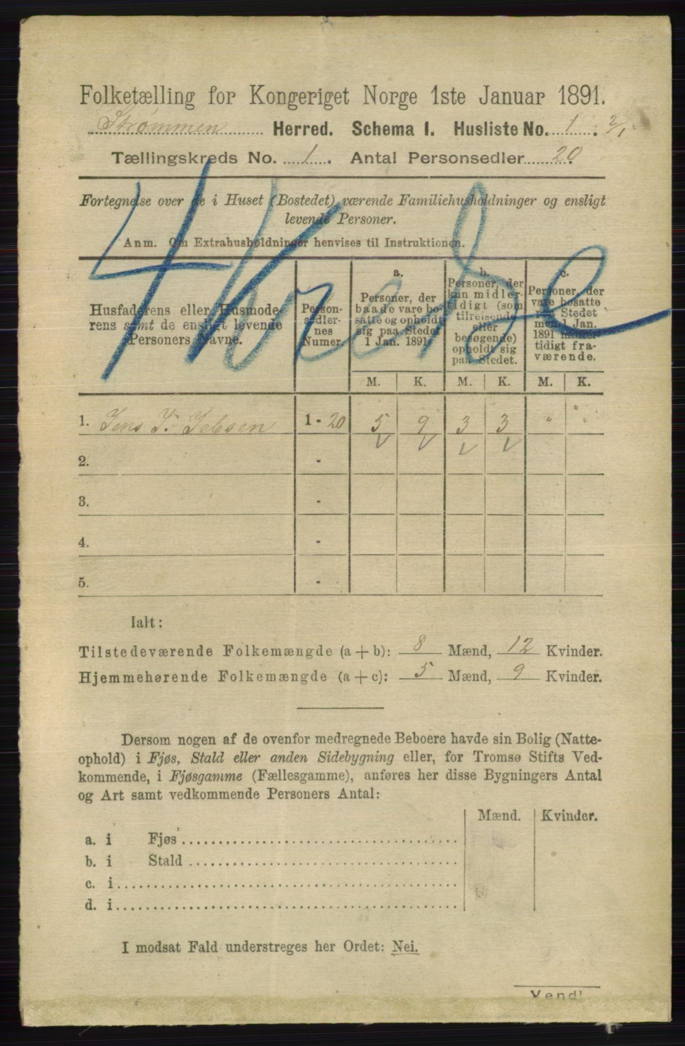 RA, 1891 census for 0711 Strømm, 1891, p. 15