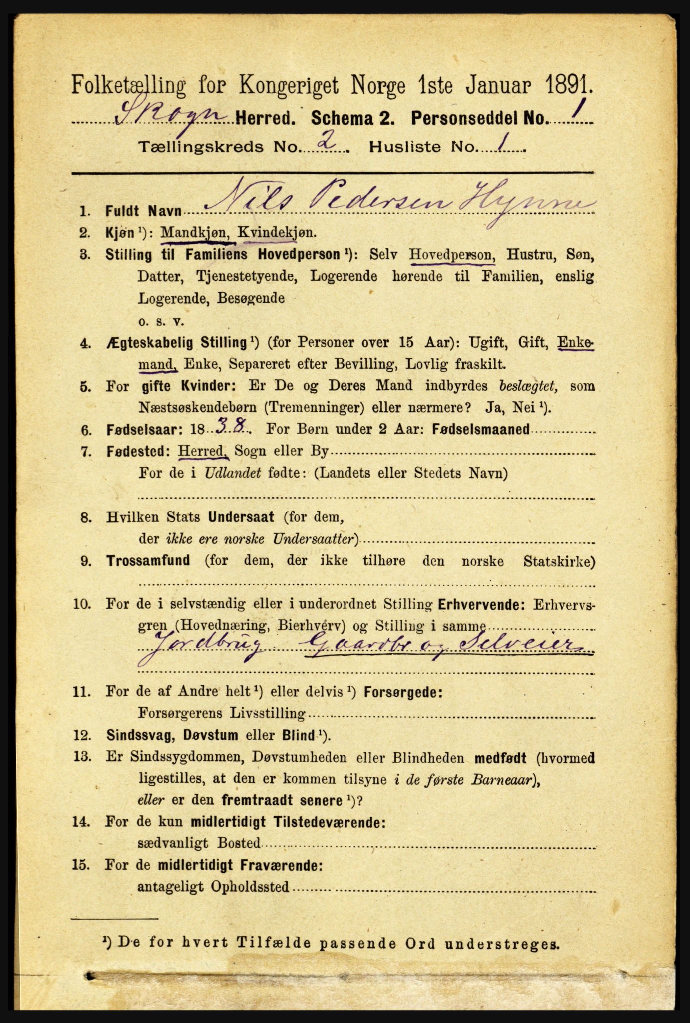 RA, 1891 census for 1719 Skogn, 1891, p. 975