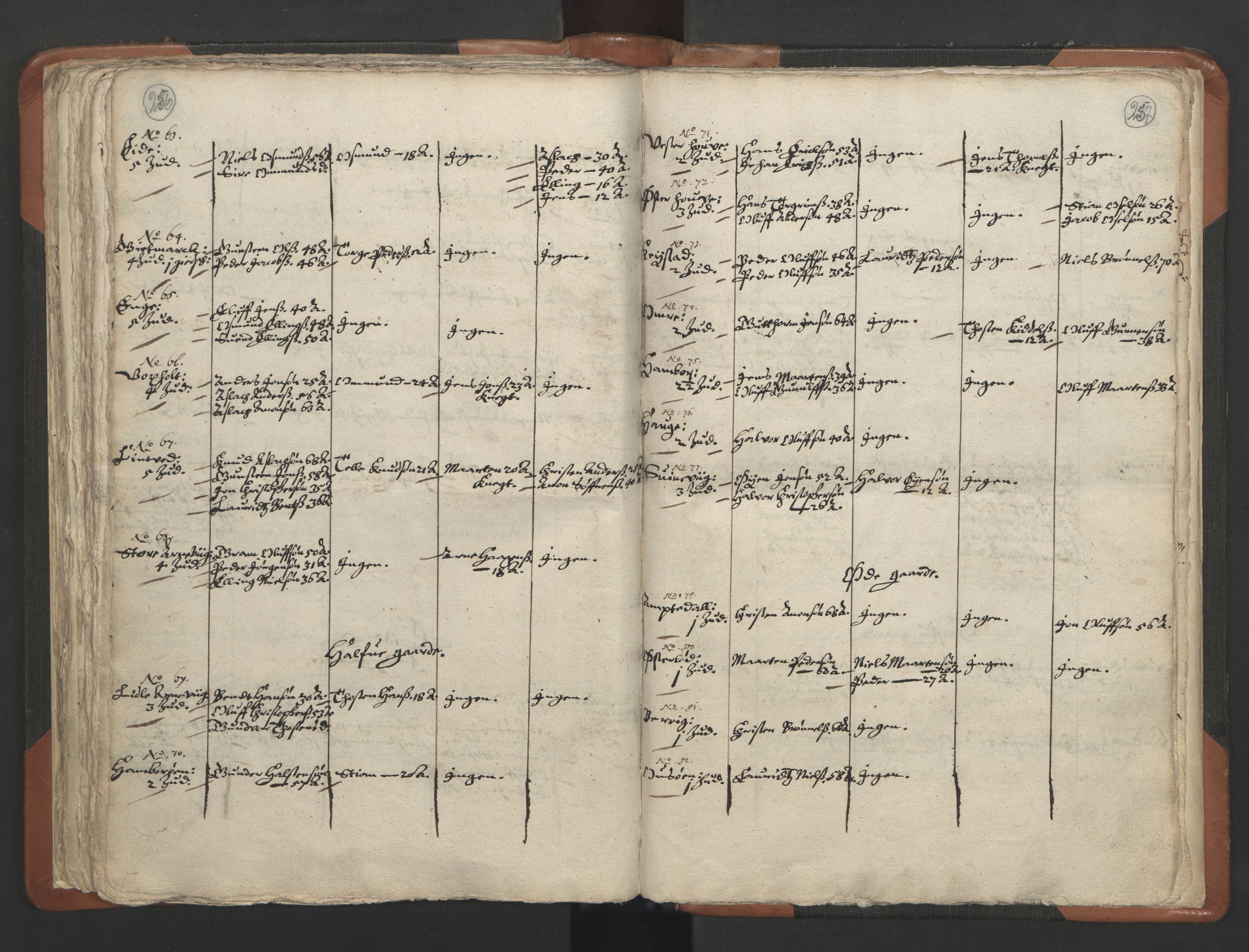 RA, Vicar's Census 1664-1666, no. 13: Nedenes deanery, 1664-1666, p. 256-257