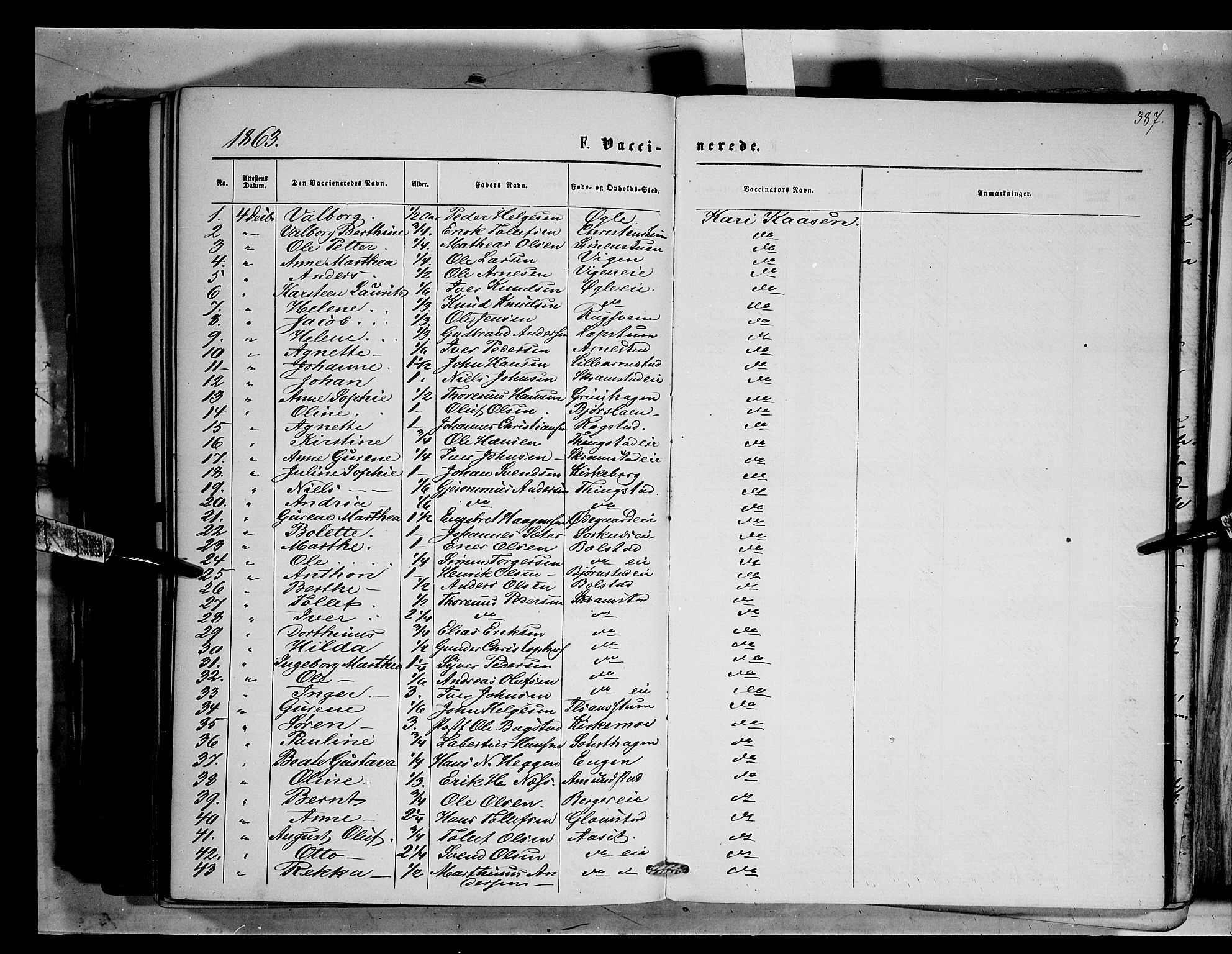Åmot prestekontor, Hedmark, SAH/PREST-056/H/Ha/Haa/L0008: Parish register (official) no. 8, 1862-1875, p. 387