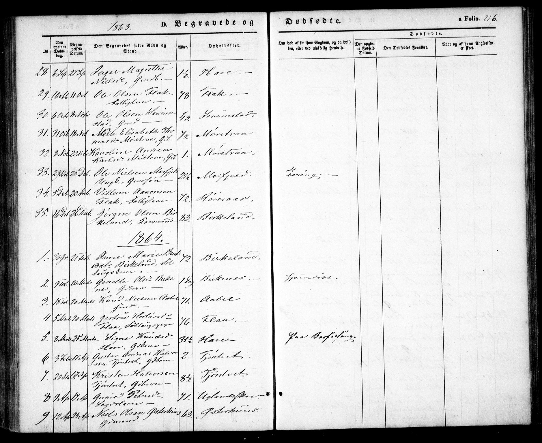 Birkenes sokneprestkontor, AV/SAK-1111-0004/F/Fa/L0003: Parish register (official) no. A 3, 1850-1866, p. 216