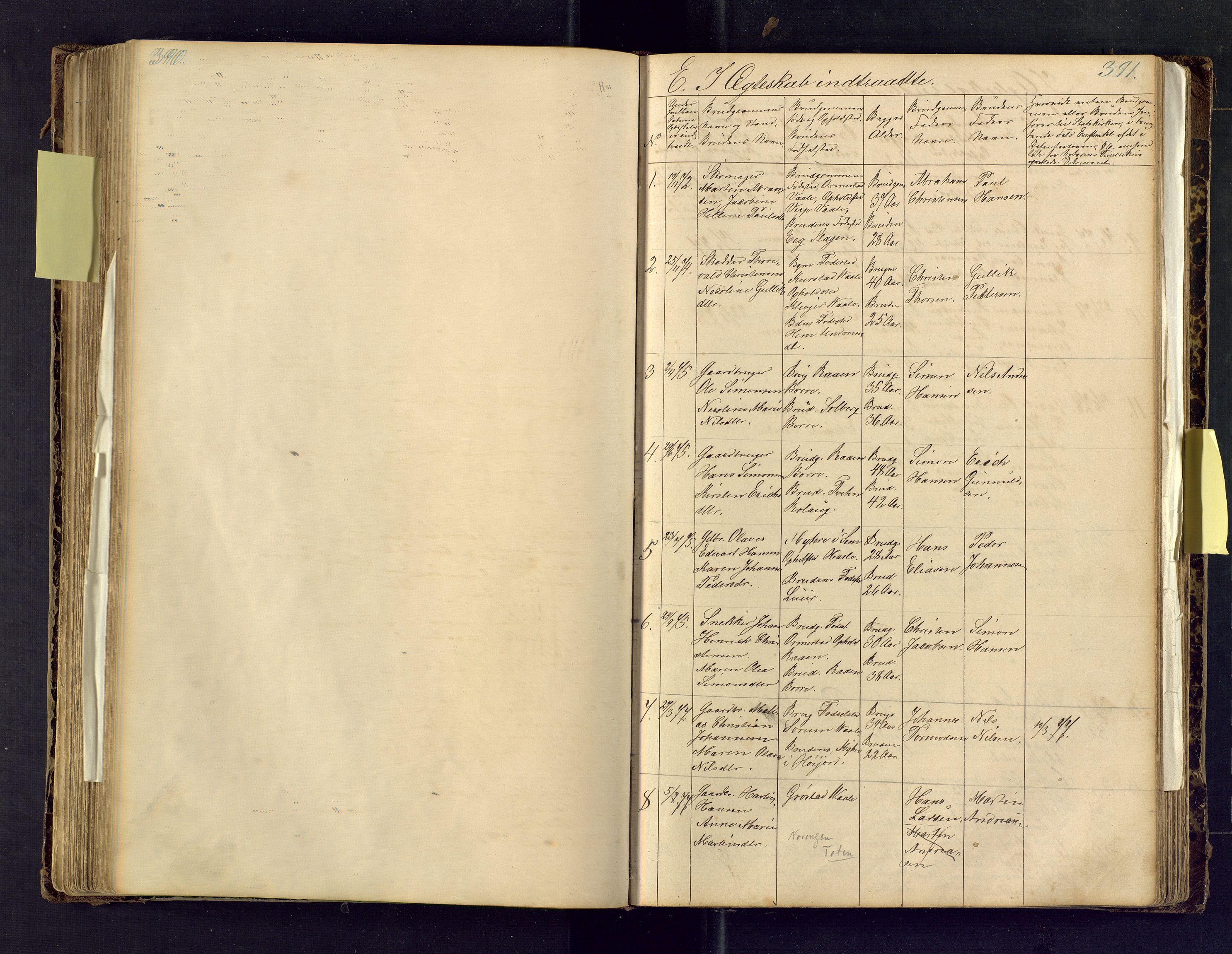 Den evangelisk lutherske frimenighet i Jarlsbergs grevskap med flere steder, SAKO/P-1384/F/Fa/L0001: Dissenter register no. Fa/L0001, 1872-1925, p. 390-391