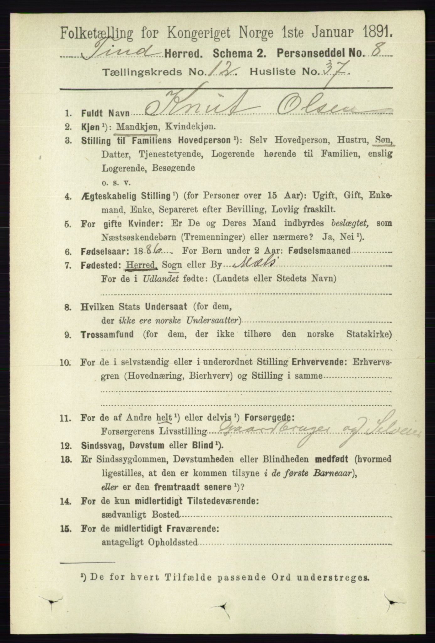 RA, 1891 census for 0826 Tinn, 1891, p. 2535