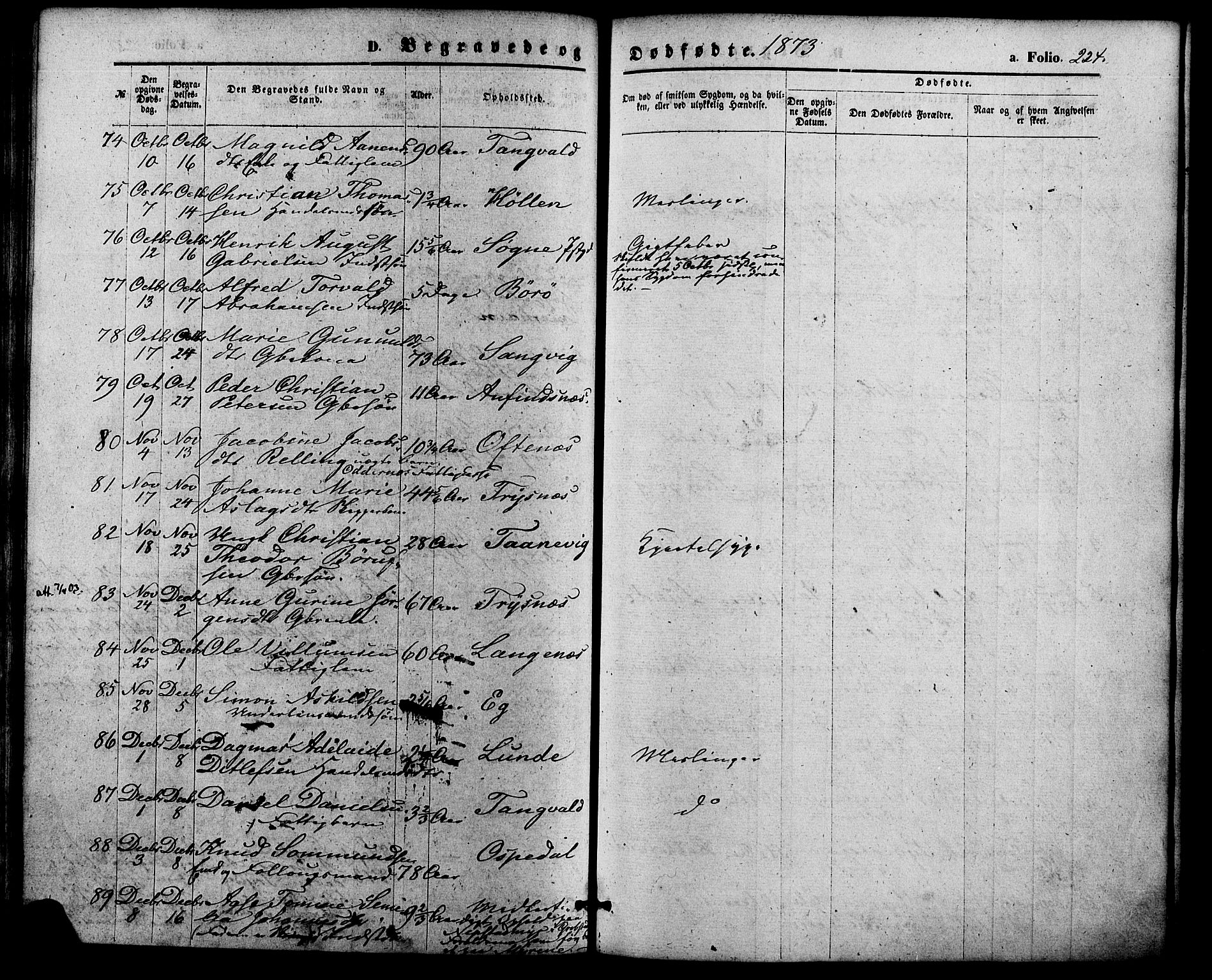 Søgne sokneprestkontor, SAK/1111-0037/F/Fa/Fab/L0011: Parish register (official) no. A 11, 1869-1879, p. 224