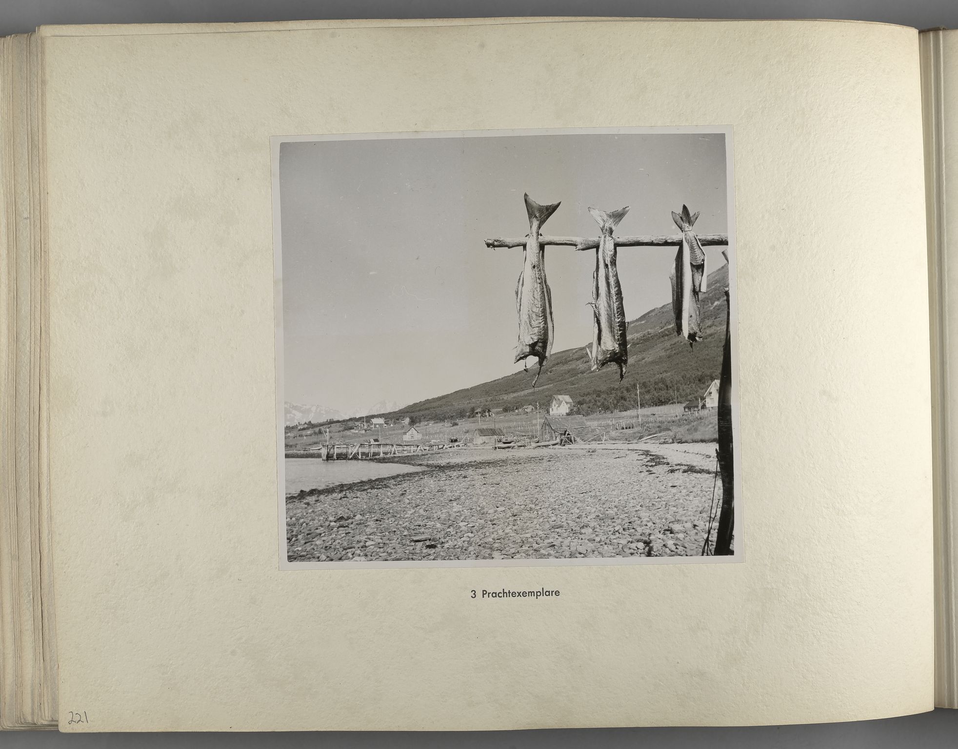 Tyske arkiver, Reichskommissariat, Bildarchiv, AV/RA-RAFA-3309/U/L0071: Fotoalbum: Mit dem Reichskommissar nach Nordnorwegen und Finnland 10. bis 27. Juli 1942, 1942, p. 90