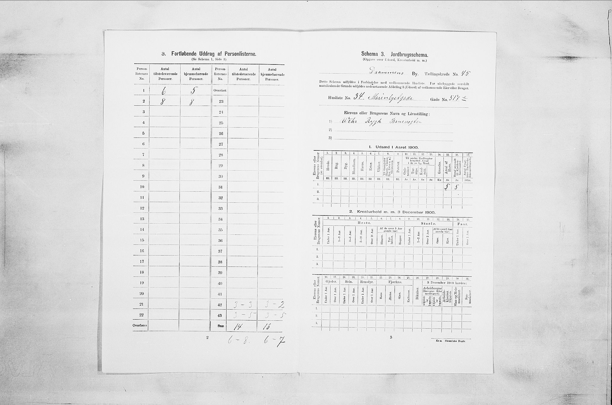 RA, 1900 census for Drammen, 1900, p. 7791