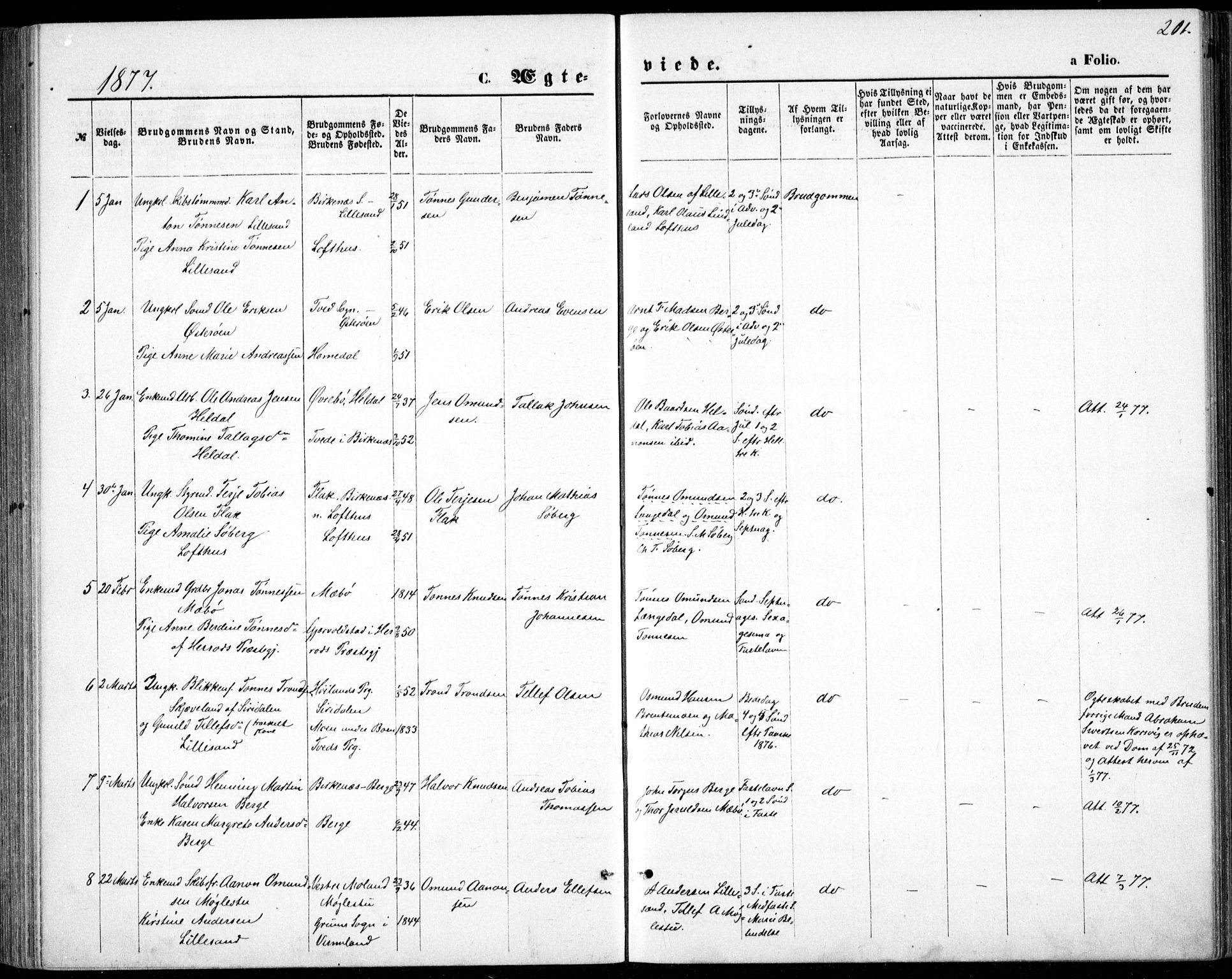 Vestre Moland sokneprestkontor, SAK/1111-0046/F/Fb/Fbb/L0005: Parish register (copy) no. B 5, 1872-1883, p. 201