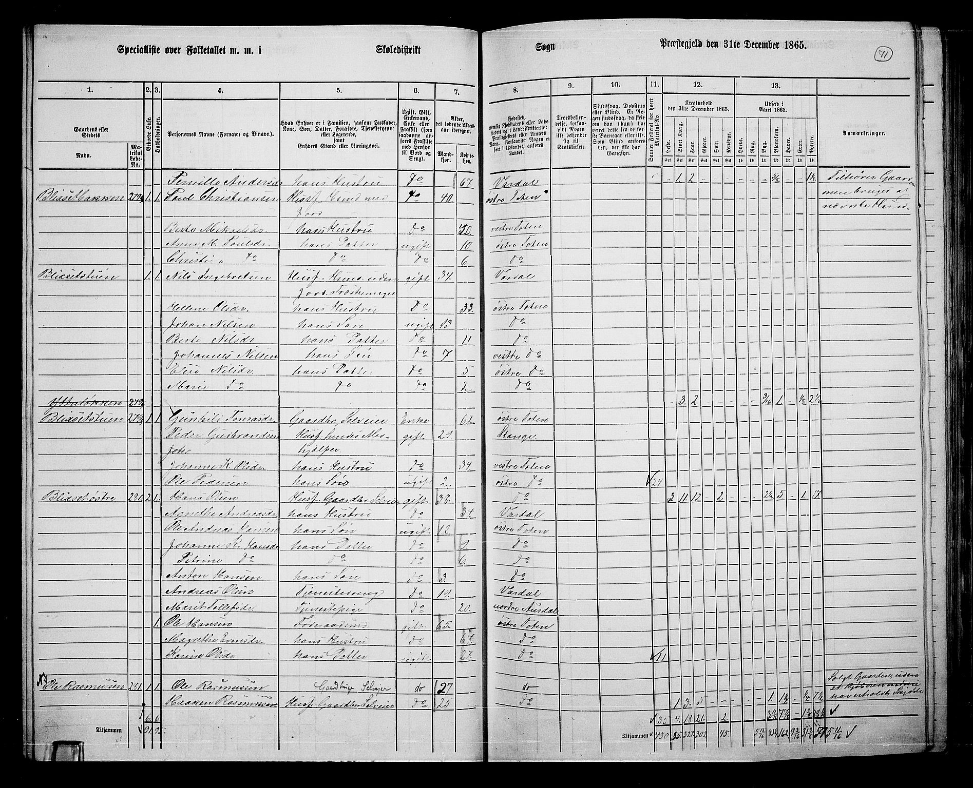 RA, 1865 census for Østre Toten, 1865, p. 196