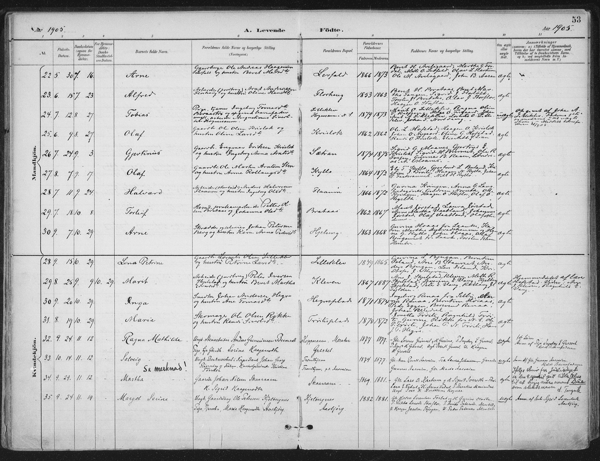 Ministerialprotokoller, klokkerbøker og fødselsregistre - Nord-Trøndelag, SAT/A-1458/703/L0031: Parish register (official) no. 703A04, 1893-1914, p. 53