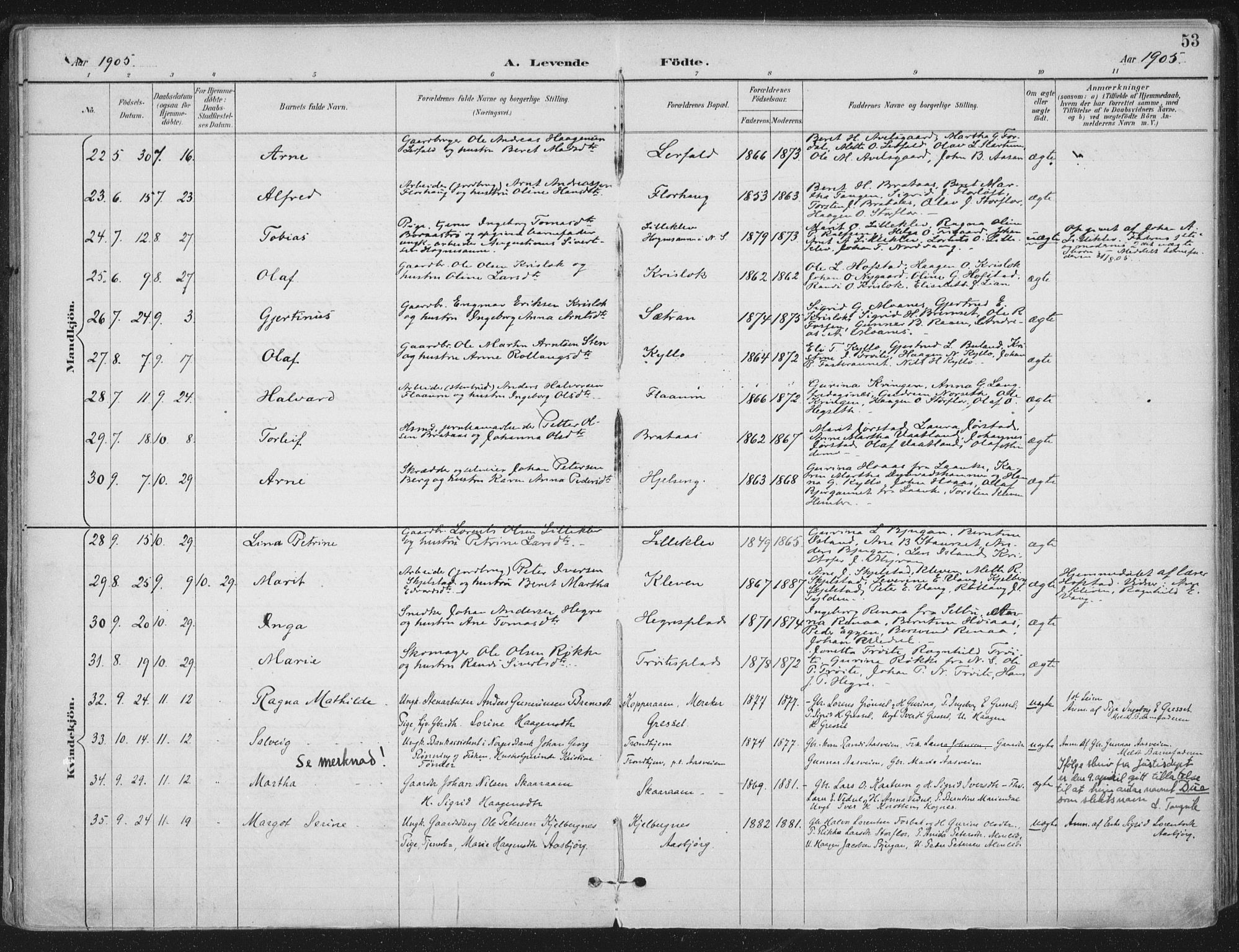 Ministerialprotokoller, klokkerbøker og fødselsregistre - Nord-Trøndelag, AV/SAT-A-1458/703/L0031: Parish register (official) no. 703A04, 1893-1914, p. 53