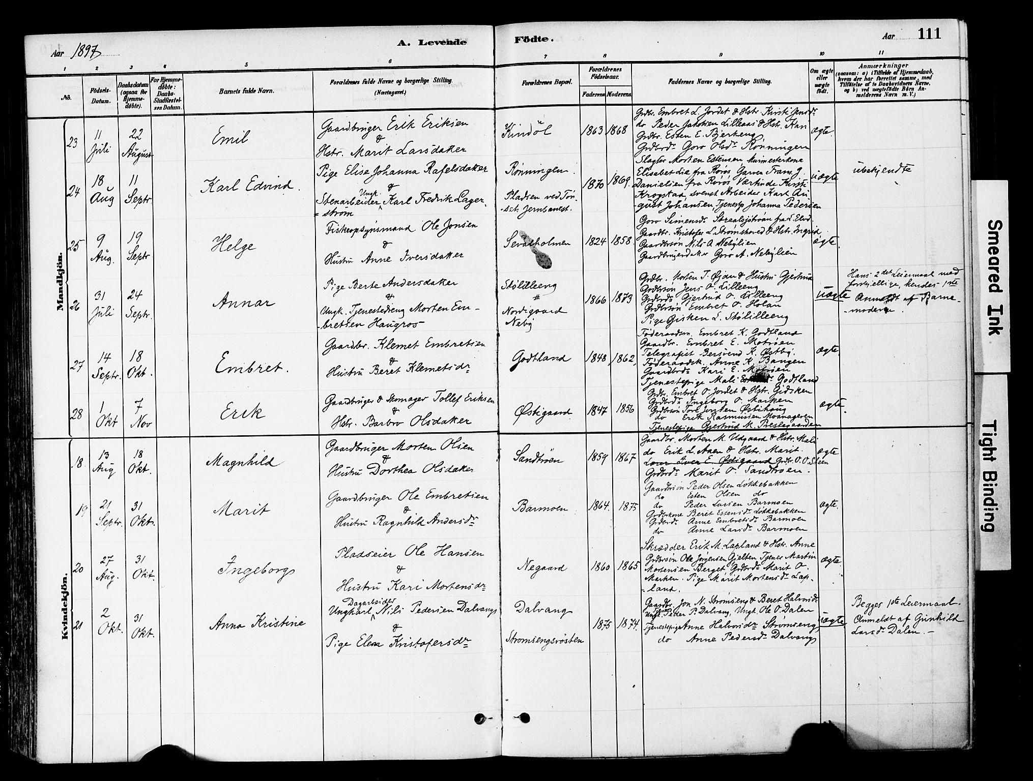 Tynset prestekontor, SAH/PREST-058/H/Ha/Haa/L0022: Parish register (official) no. 22, 1880-1899, p. 111