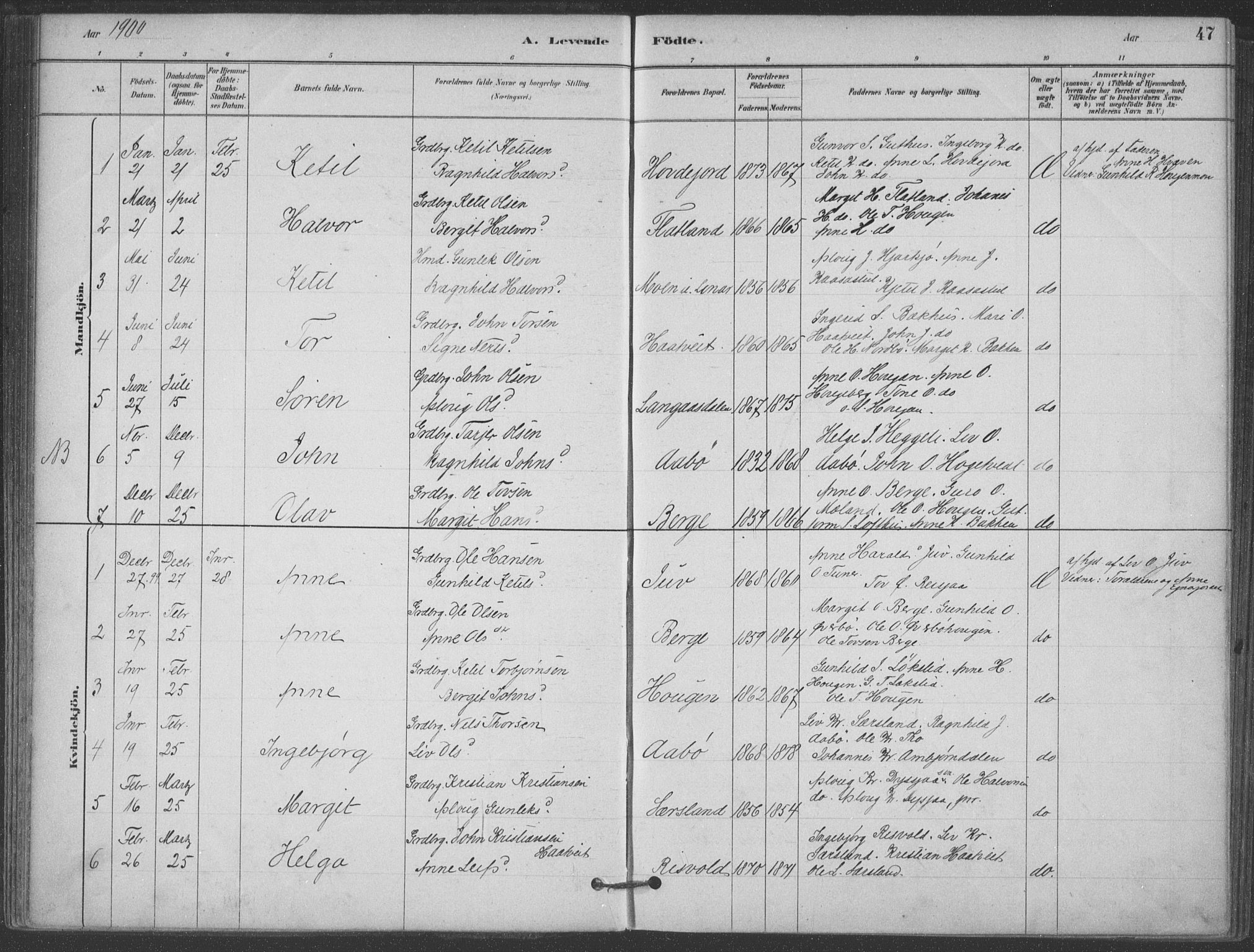 Hjartdal kirkebøker, SAKO/A-270/F/Fa/L0010: Parish register (official) no. I 10, 1880-1929, p. 47