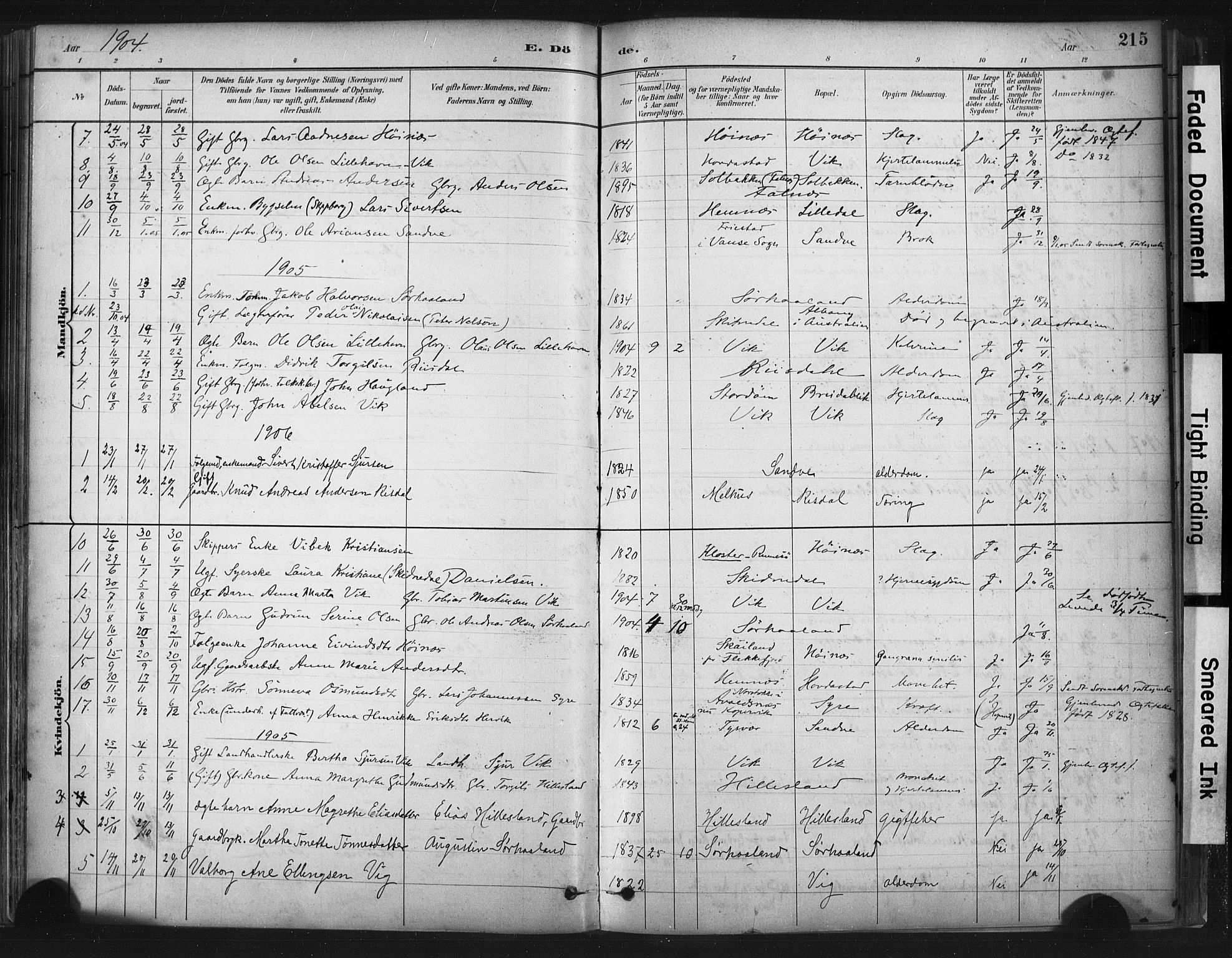 Skudenes sokneprestkontor, AV/SAST-A -101849/H/Ha/Haa/L0009: Parish register (official) no. A 6, 1882-1912, p. 215