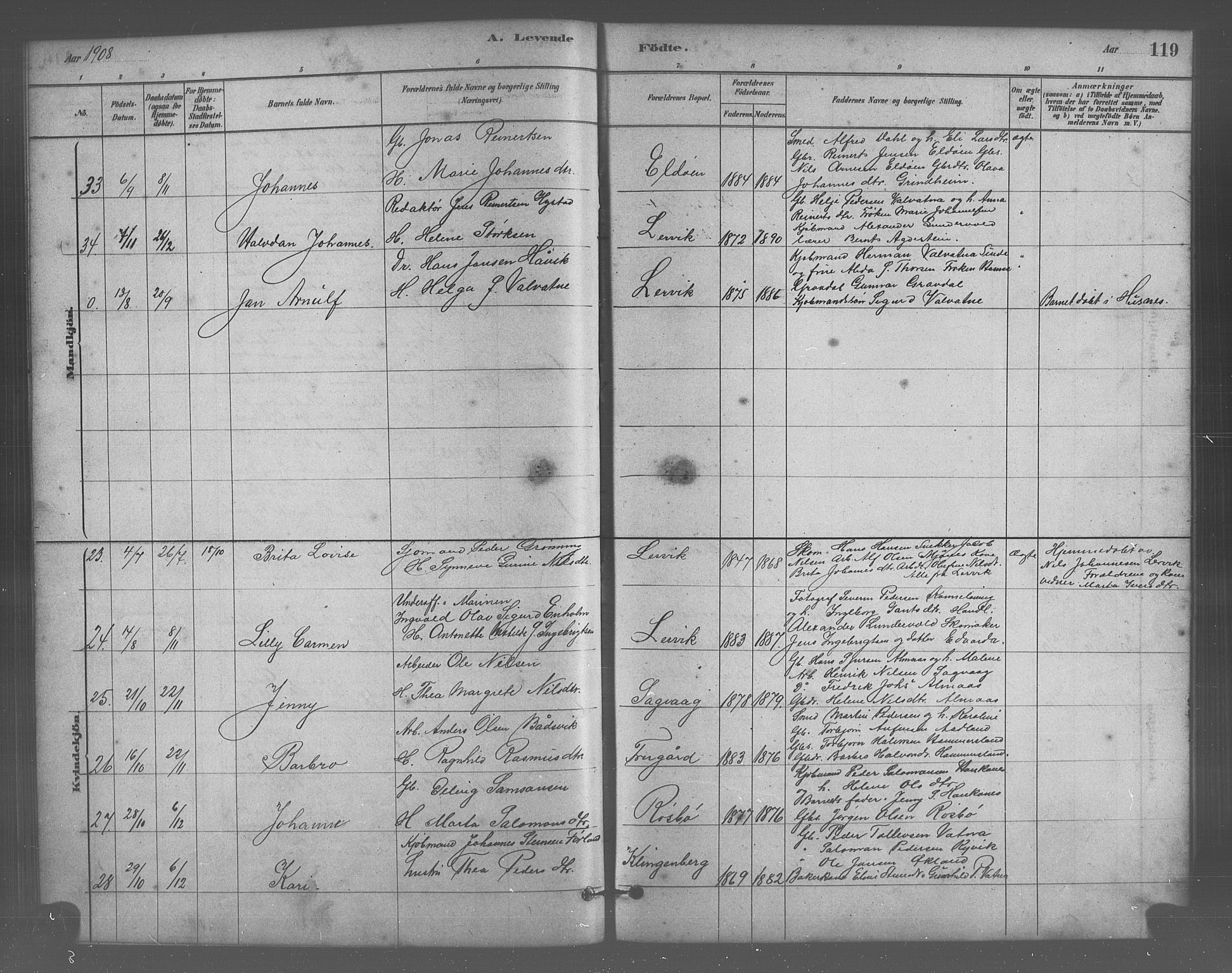 Stord sokneprestembete, AV/SAB-A-78201/H/Hab: Parish register (copy) no. A 2, 1879-1909, p. 119