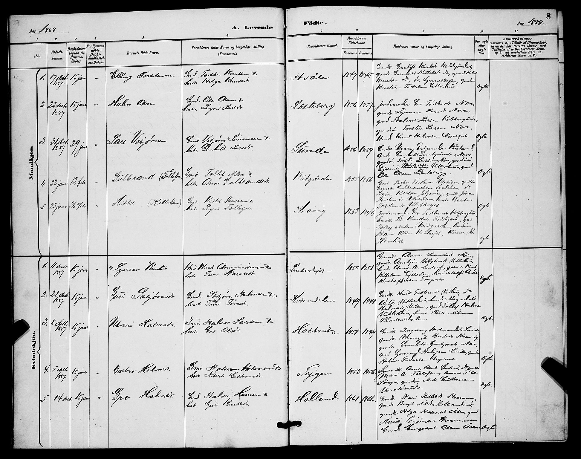 Nore kirkebøker, SAKO/A-238/G/Ga/L0003: Parish register (copy) no. I 3, 1886-1903, p. 8