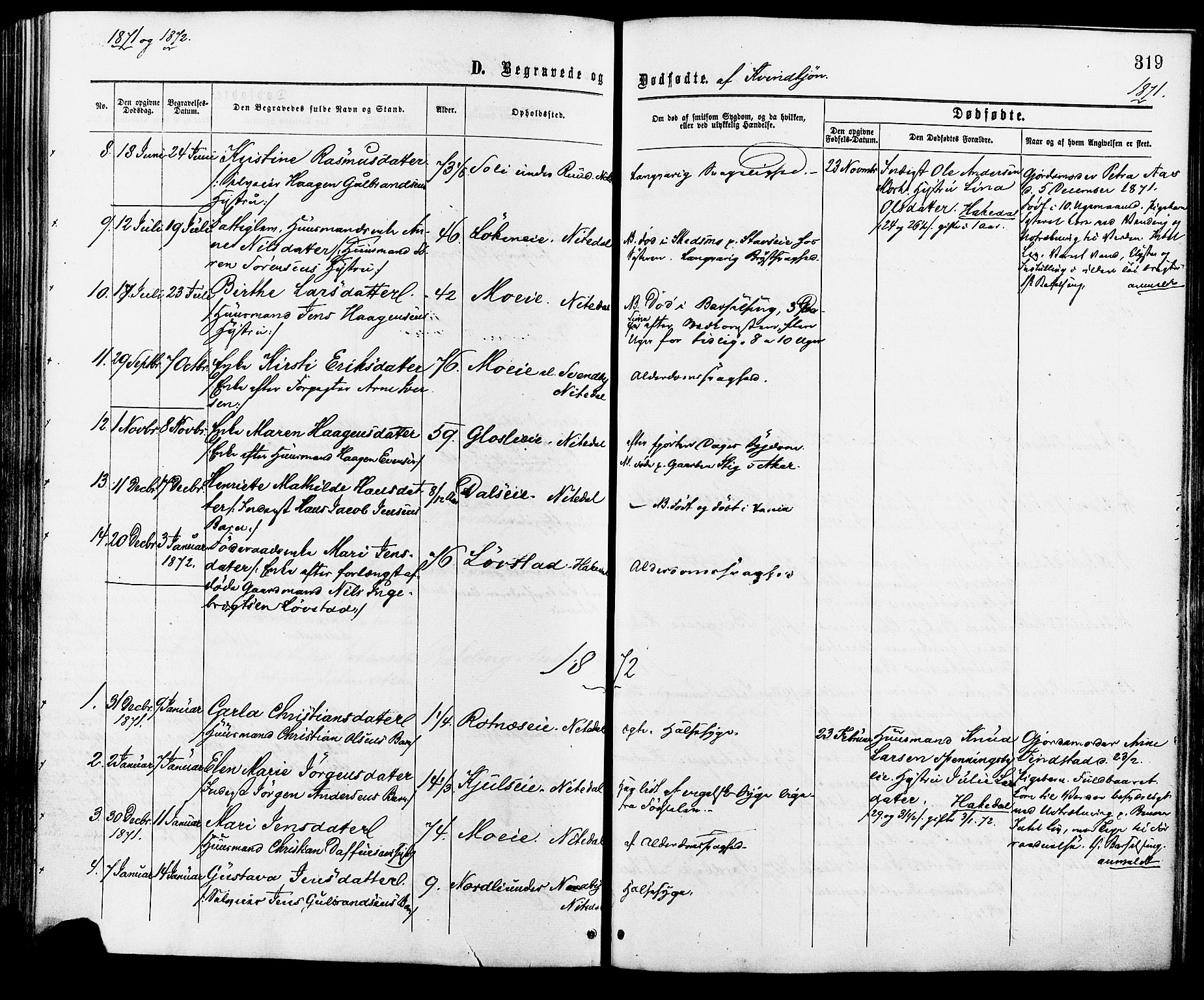 Nittedal prestekontor Kirkebøker, AV/SAO-A-10365a/F/Fa/L0006: Parish register (official) no. I 6, 1863-1878, p. 319