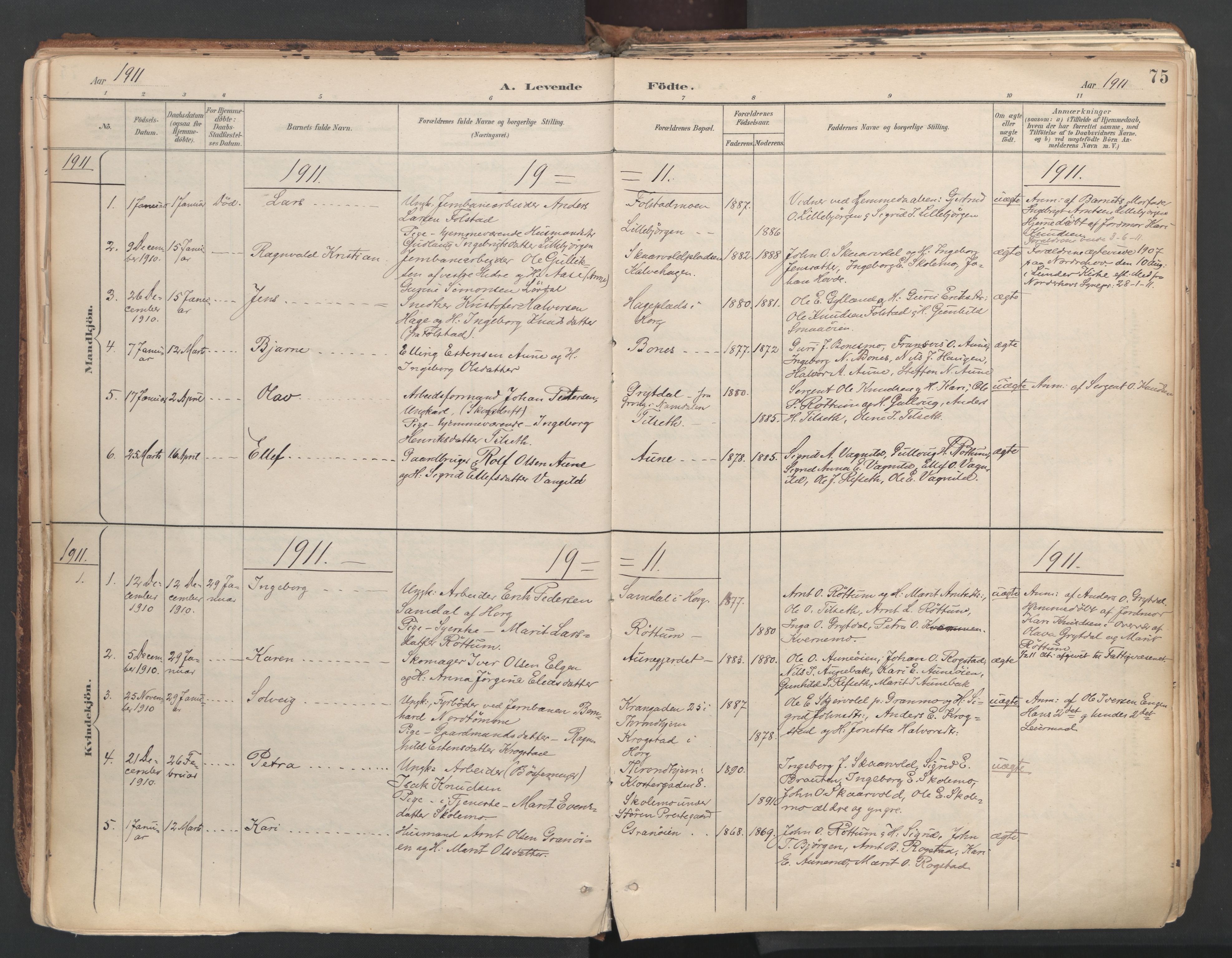 Ministerialprotokoller, klokkerbøker og fødselsregistre - Sør-Trøndelag, SAT/A-1456/687/L1004: Parish register (official) no. 687A10, 1891-1923, p. 75