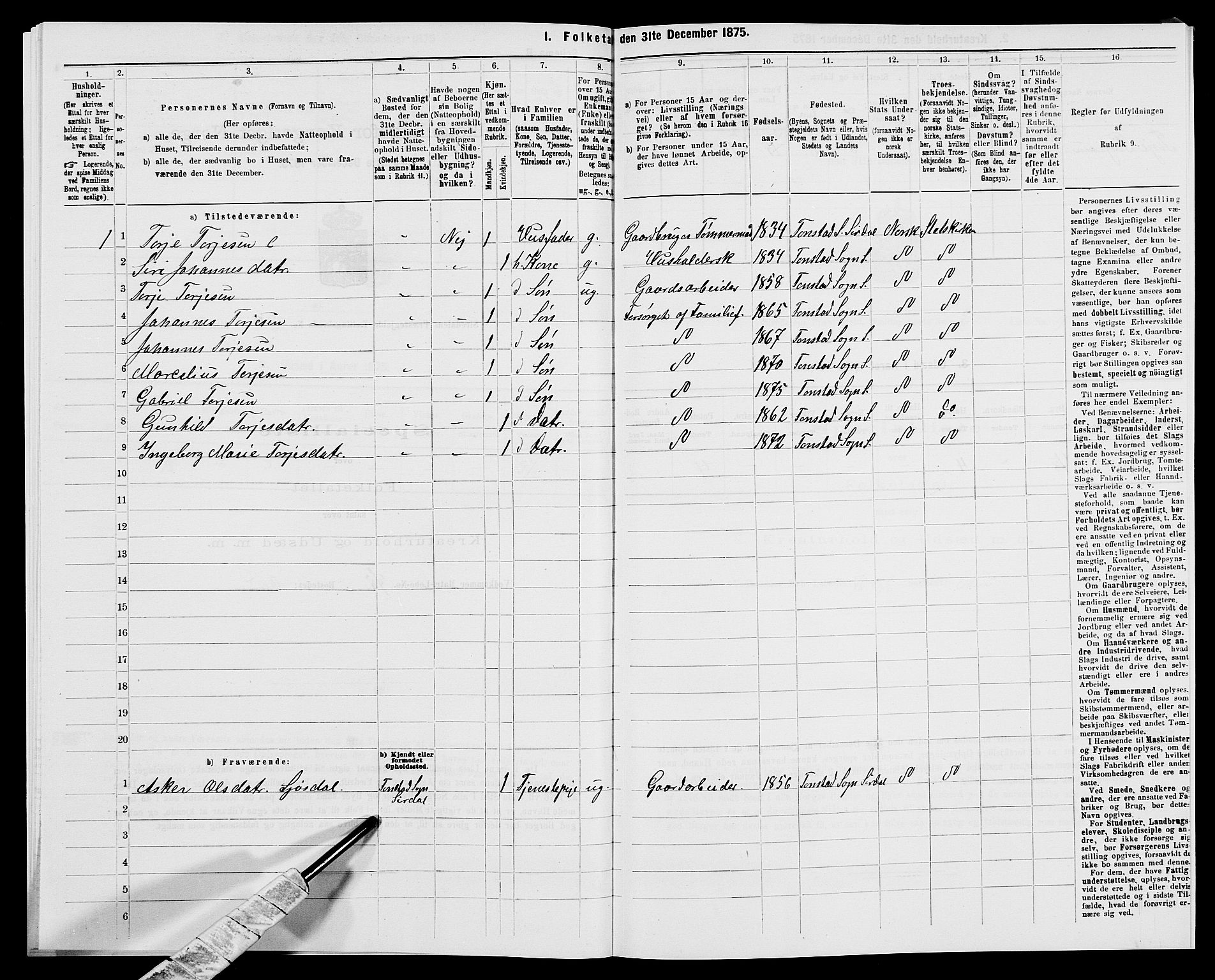 SAK, 1875 census for 1046P Sirdal, 1875, p. 153