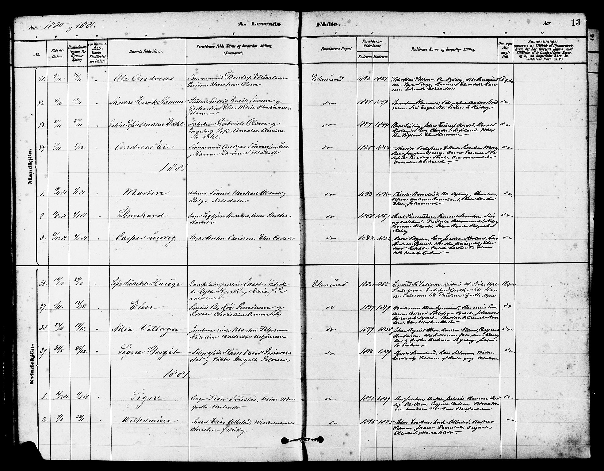 Eigersund sokneprestkontor, SAST/A-101807/S08/L0015: Parish register (official) no. A 15, 1879-1892, p. 13