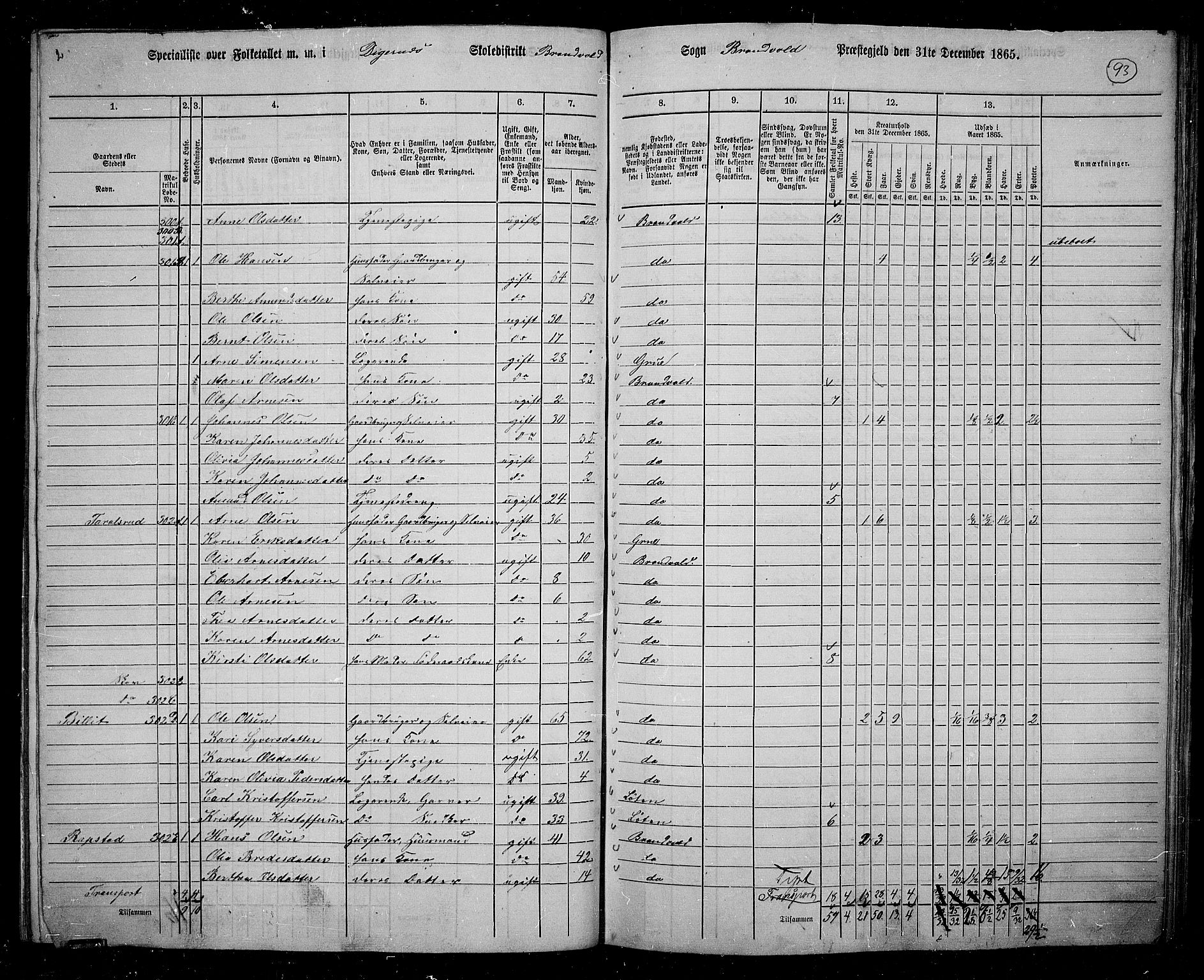 RA, 1865 census for Brandval, 1865, p. 80