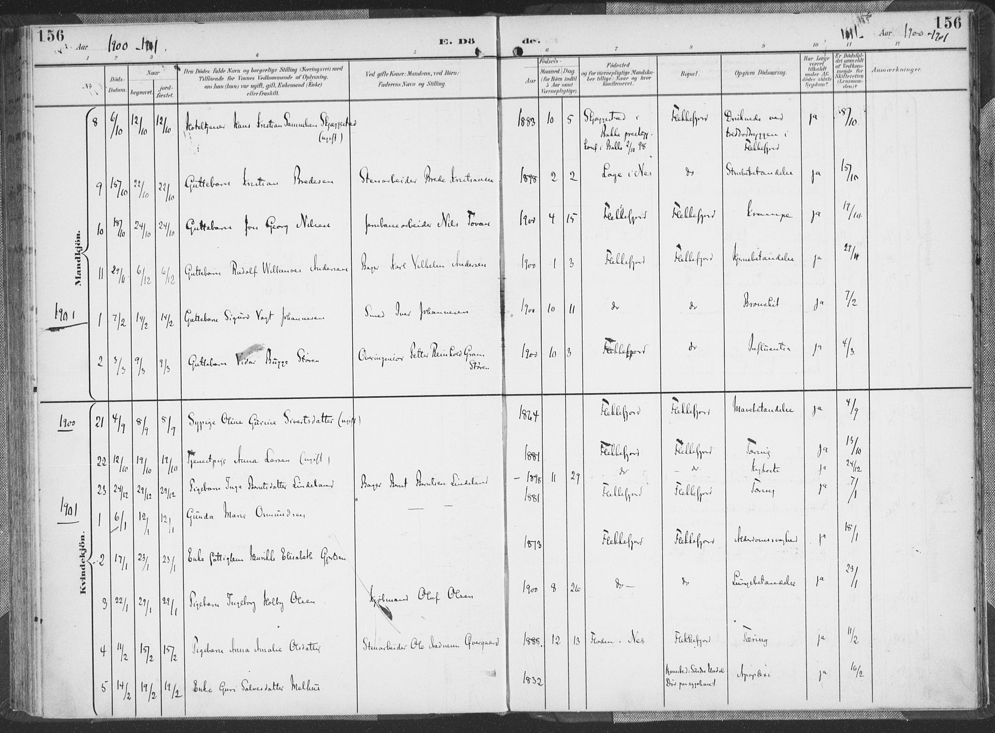 Flekkefjord sokneprestkontor, SAK/1111-0012/F/Fa/Faa/L0002: Parish register (official) no. A 2, 1900-1912, p. 156