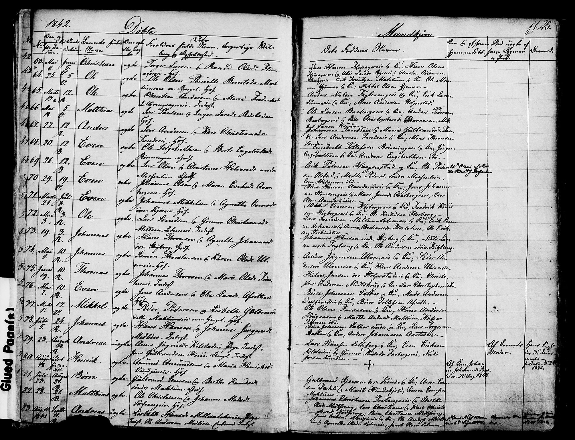Ringsaker prestekontor, SAH/PREST-014/K/Ka/L0008: Parish register (official) no. 8, 1837-1850, p. 25