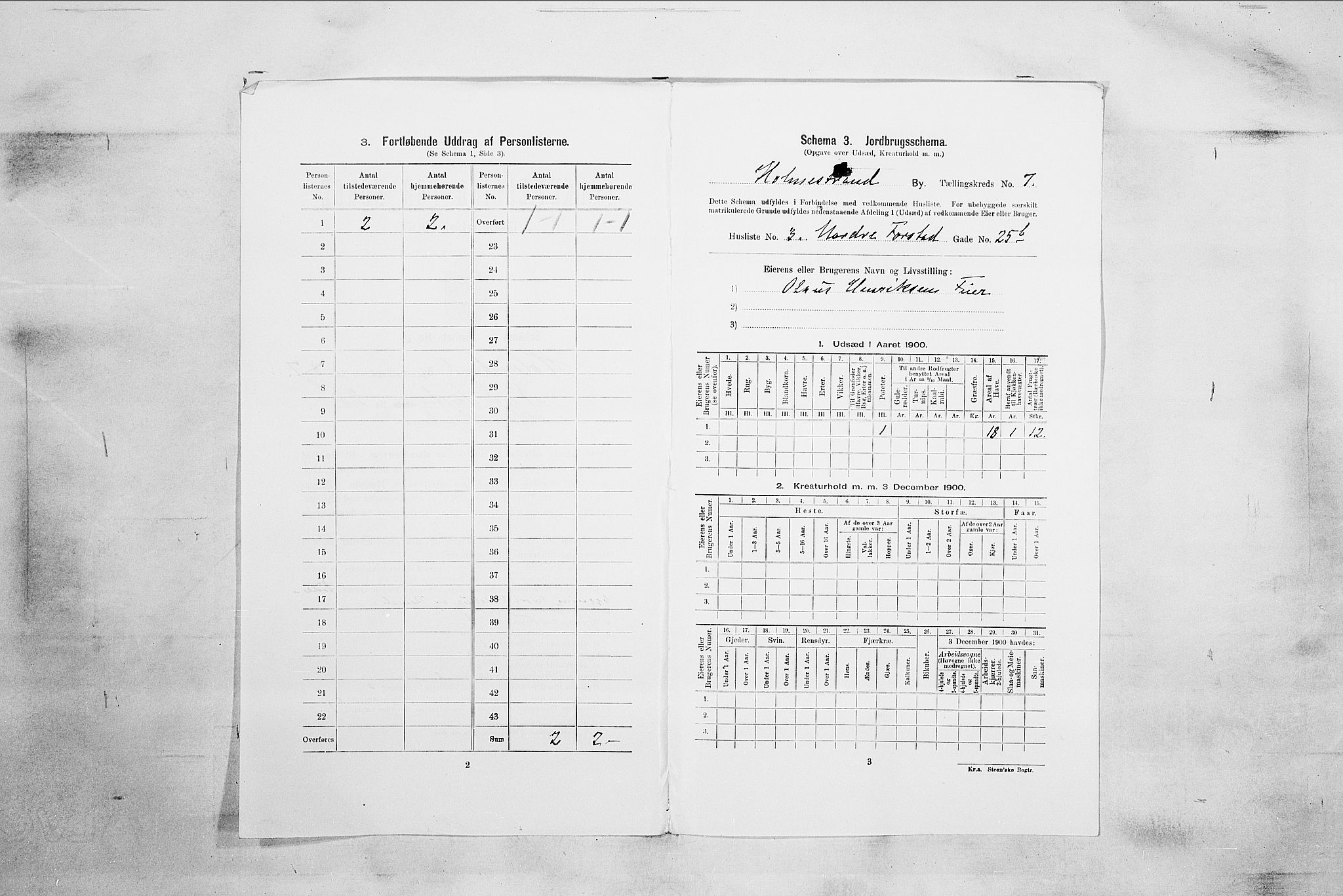 RA, 1900 census for Holmestrand, 1900, p. 175