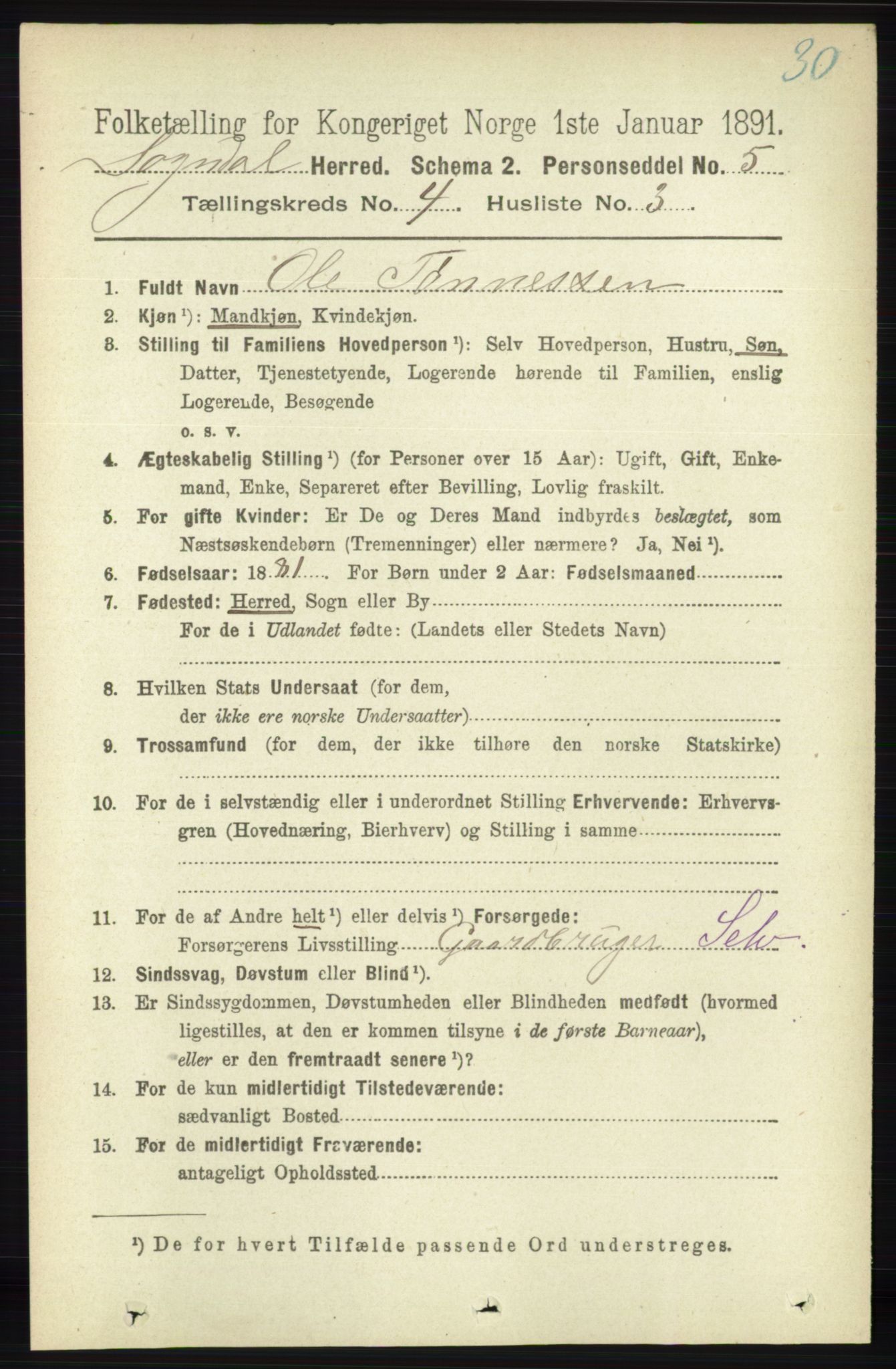 RA, 1891 census for 1111 Sokndal, 1891, p. 1013