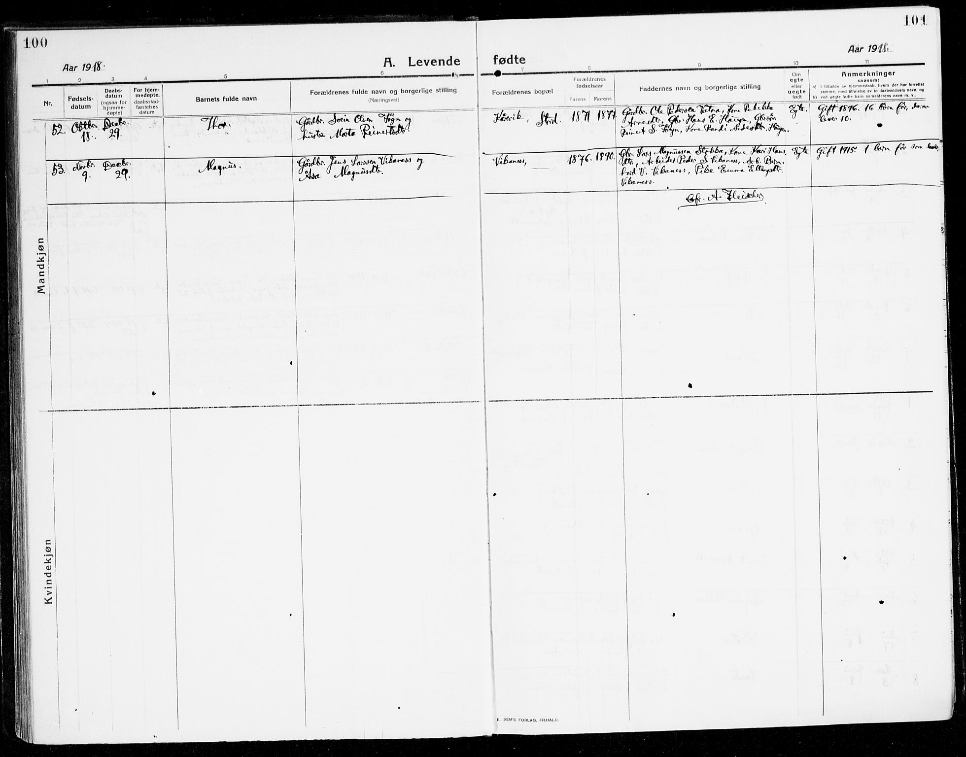 Stord sokneprestembete, AV/SAB-A-78201/H/Haa: Parish register (official) no. B 3, 1913-1925, p. 100-101