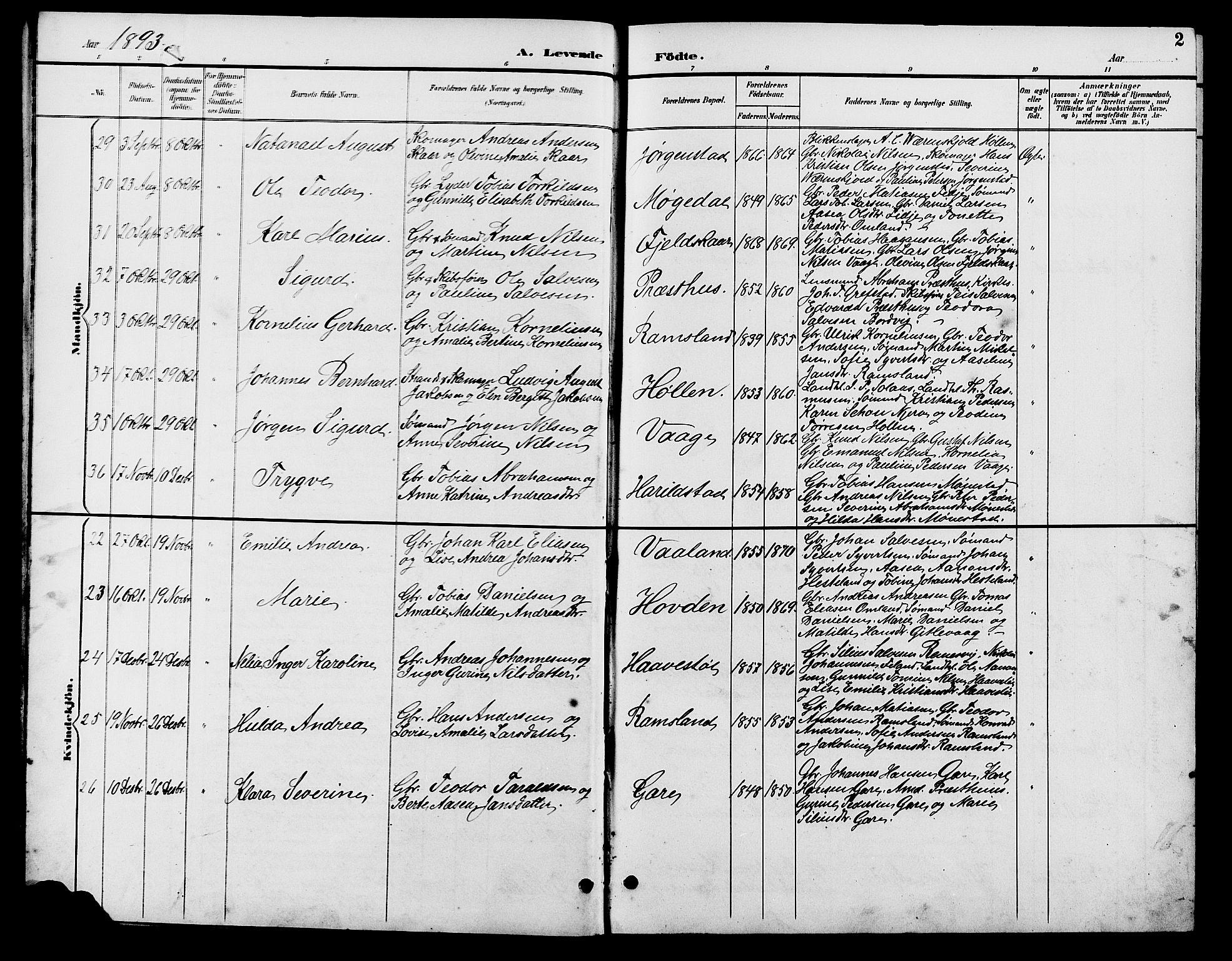 Sør-Audnedal sokneprestkontor, AV/SAK-1111-0039/F/Fb/Fba/L0004: Parish register (copy) no. B 4, 1893-1909, p. 2
