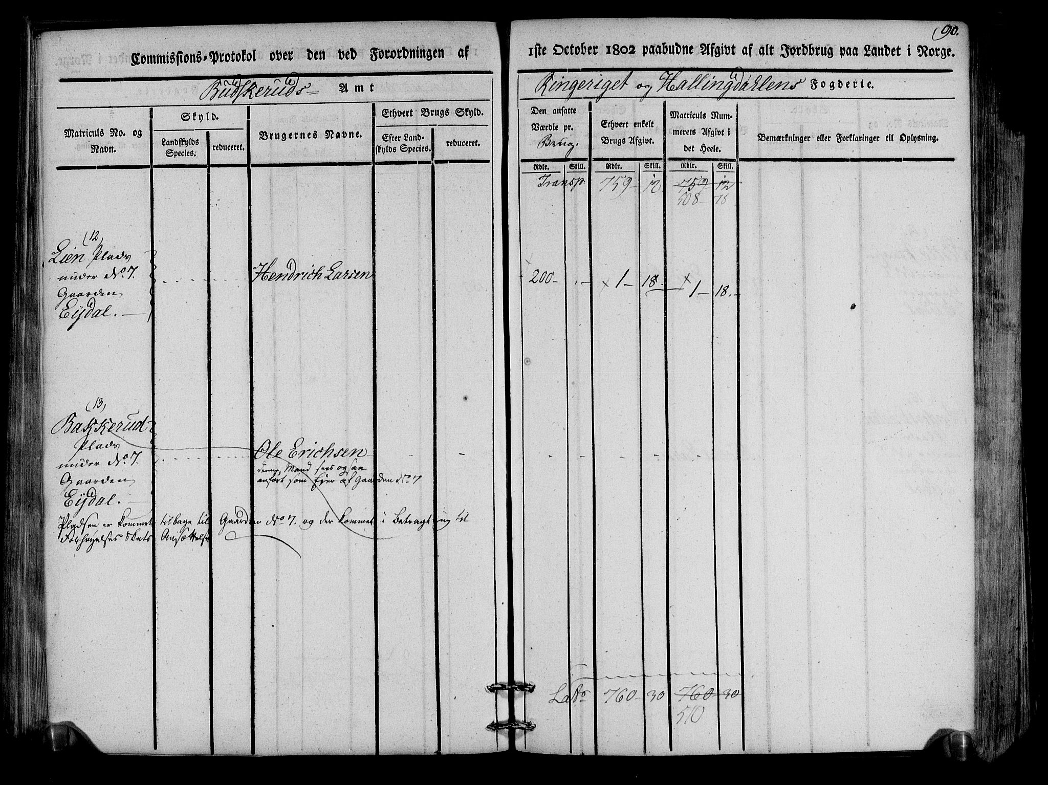 Rentekammeret inntil 1814, Realistisk ordnet avdeling, AV/RA-EA-4070/N/Ne/Nea/L0047: Ringerike og Hallingdal fogderi. Kommisjonsprotokoll for Nes prestegjeld, 1803, p. 93