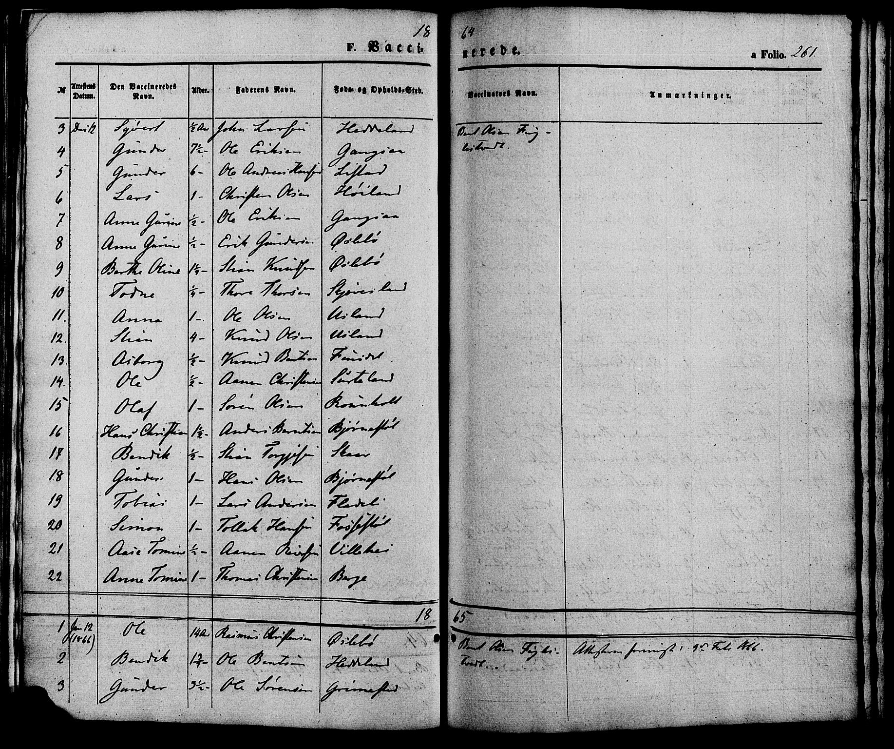 Holum sokneprestkontor, SAK/1111-0022/F/Fa/Fac/L0003: Parish register (official) no. A 3, 1860-1883, p. 261