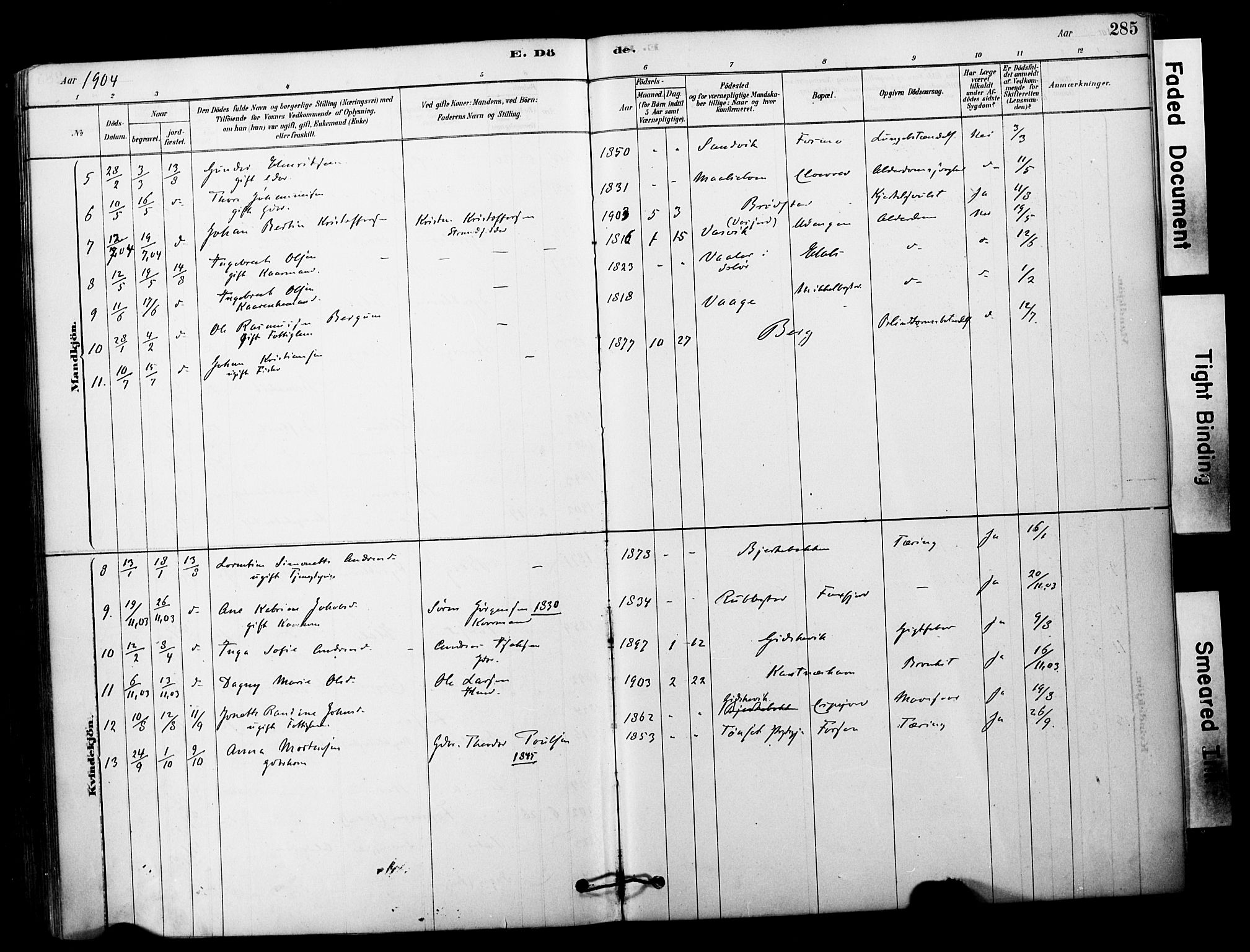 Tranøy sokneprestkontor, AV/SATØ-S-1313/I/Ia/Iaa/L0011kirke: Parish register (official) no. 11, 1878-1904, p. 285