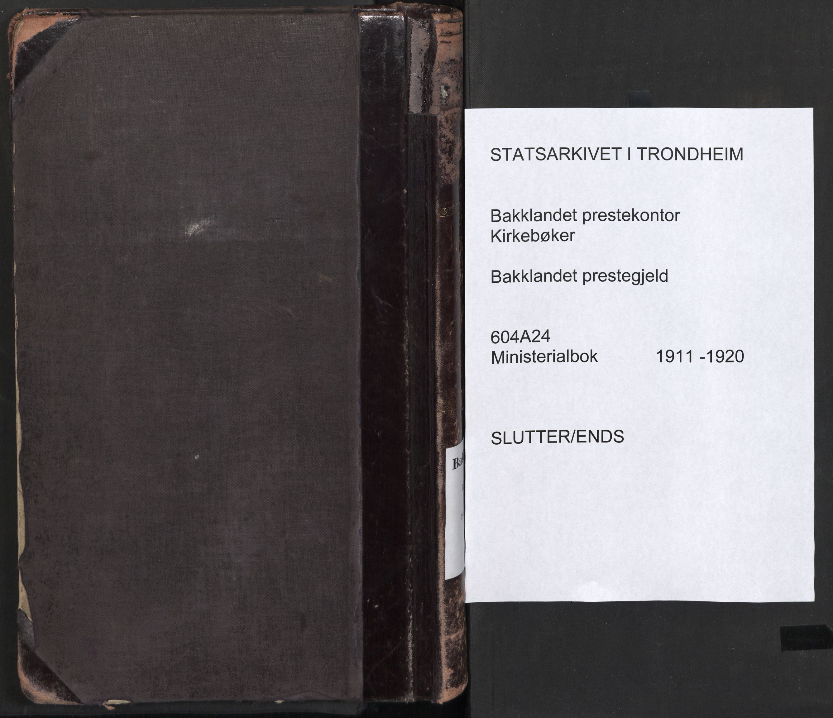 Ministerialprotokoller, klokkerbøker og fødselsregistre - Sør-Trøndelag, AV/SAT-A-1456/604/L0204: Parish register (official) no. 604A24, 1911-1920