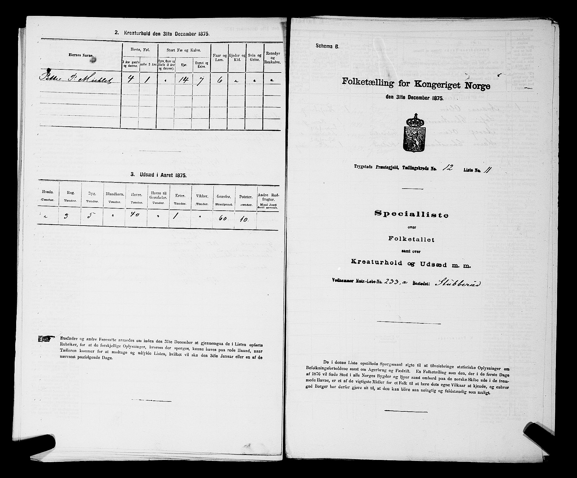 RA, 1875 census for 0122P Trøgstad, 1875, p. 1335
