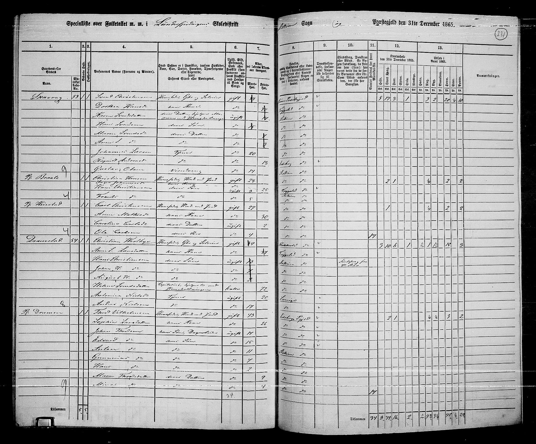 RA, 1865 census for Askim, 1865, p. 88