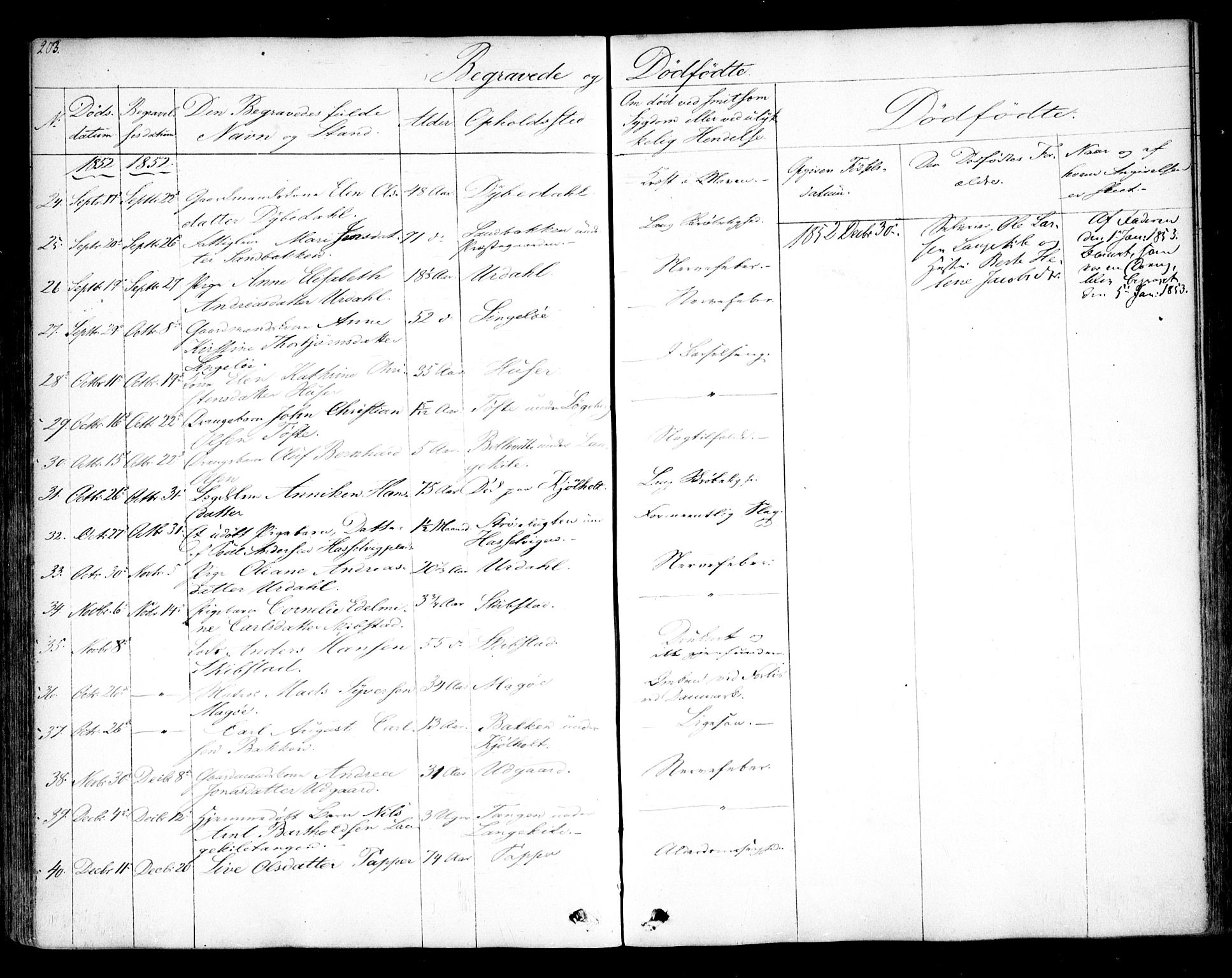 Hvaler prestekontor Kirkebøker, AV/SAO-A-2001/F/Fa/L0006: Parish register (official) no. I 6, 1846-1863, p. 203