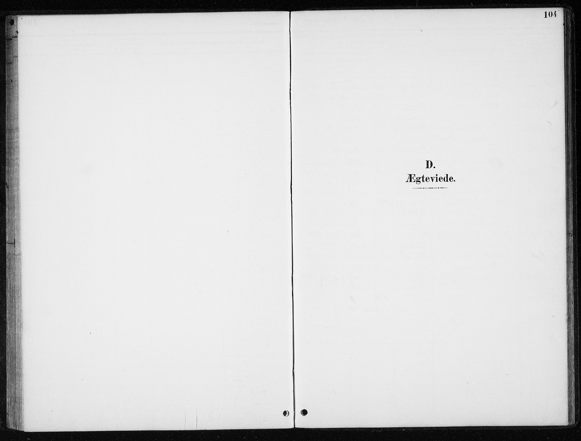 Ministerialprotokoller, klokkerbøker og fødselsregistre - Nord-Trøndelag, SAT/A-1458/710/L0096: Parish register (copy) no. 710C01, 1892-1925, p. 104