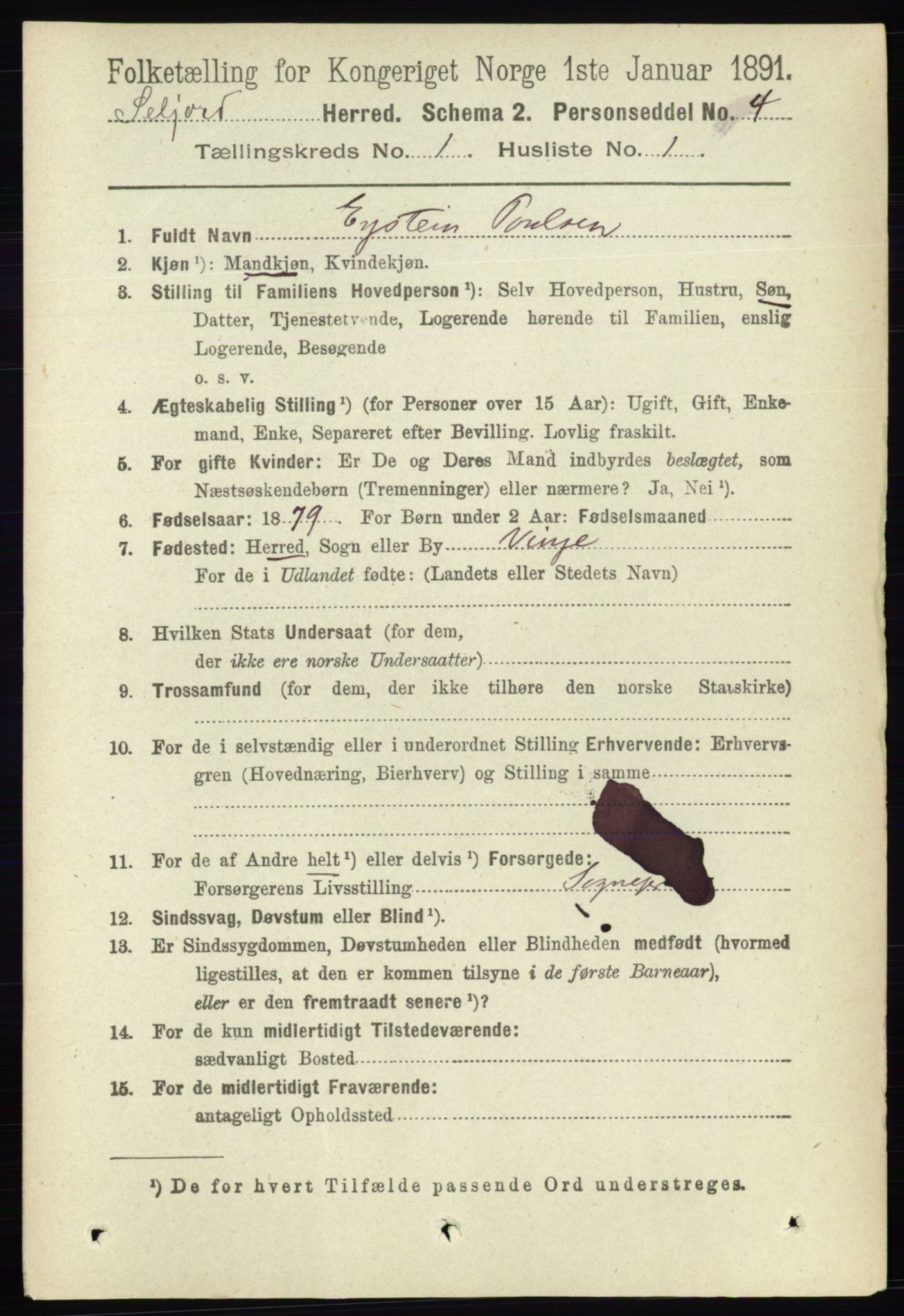 RA, 1891 census for 0828 Seljord, 1891, p. 110