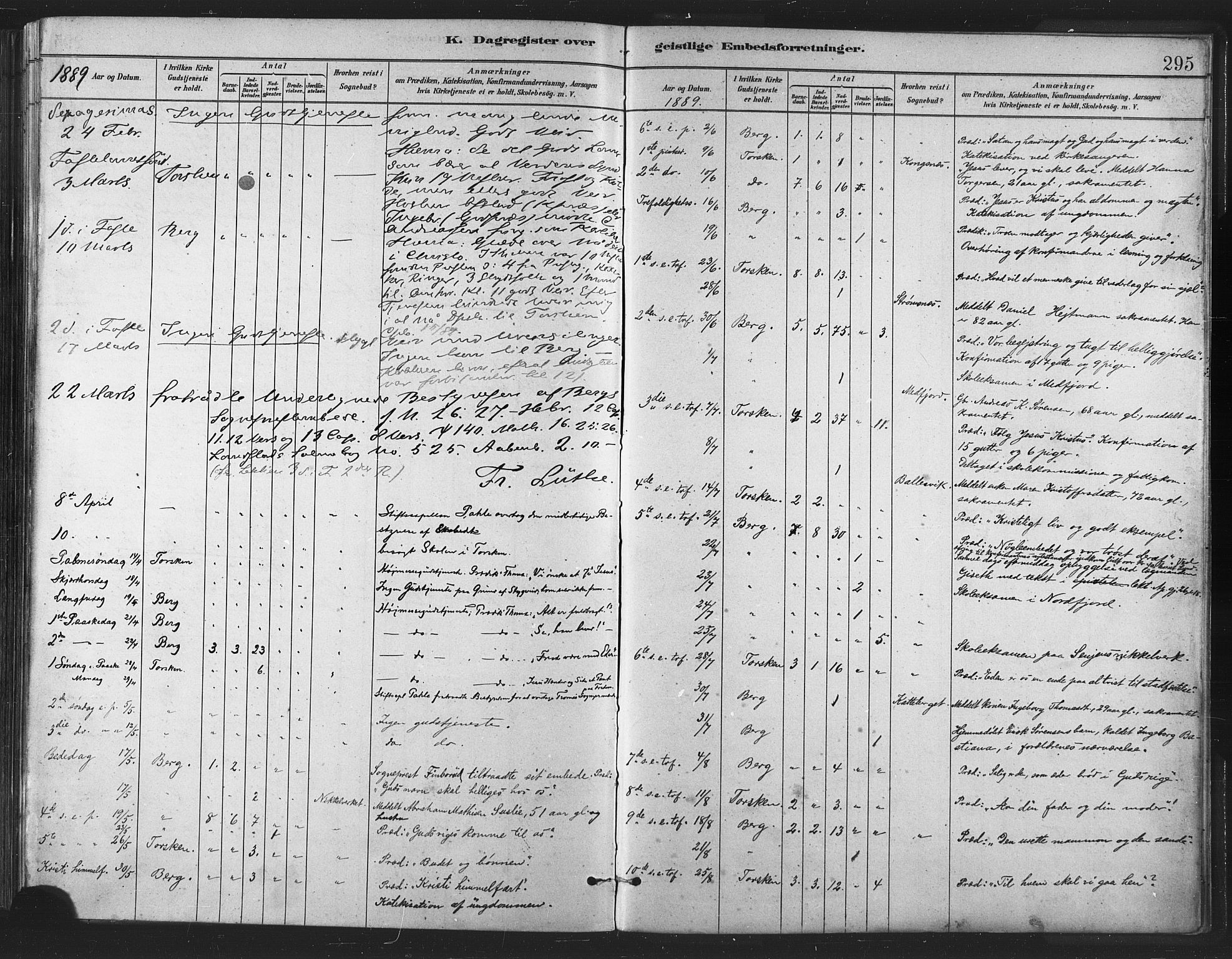 Berg sokneprestkontor, AV/SATØ-S-1318/G/Ga/Gaa/L0004kirke: Parish register (official) no. 4, 1880-1894, p. 295