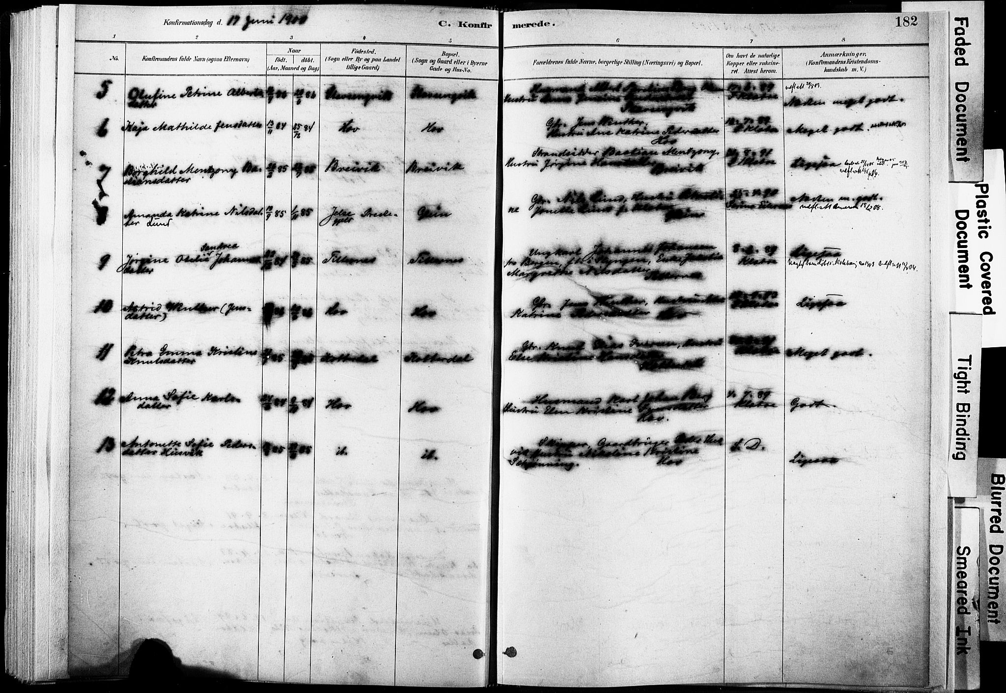 Ministerialprotokoller, klokkerbøker og fødselsregistre - Nordland, SAT/A-1459/835/L0525: Parish register (official) no. 835A03I, 1881-1910, p. 182
