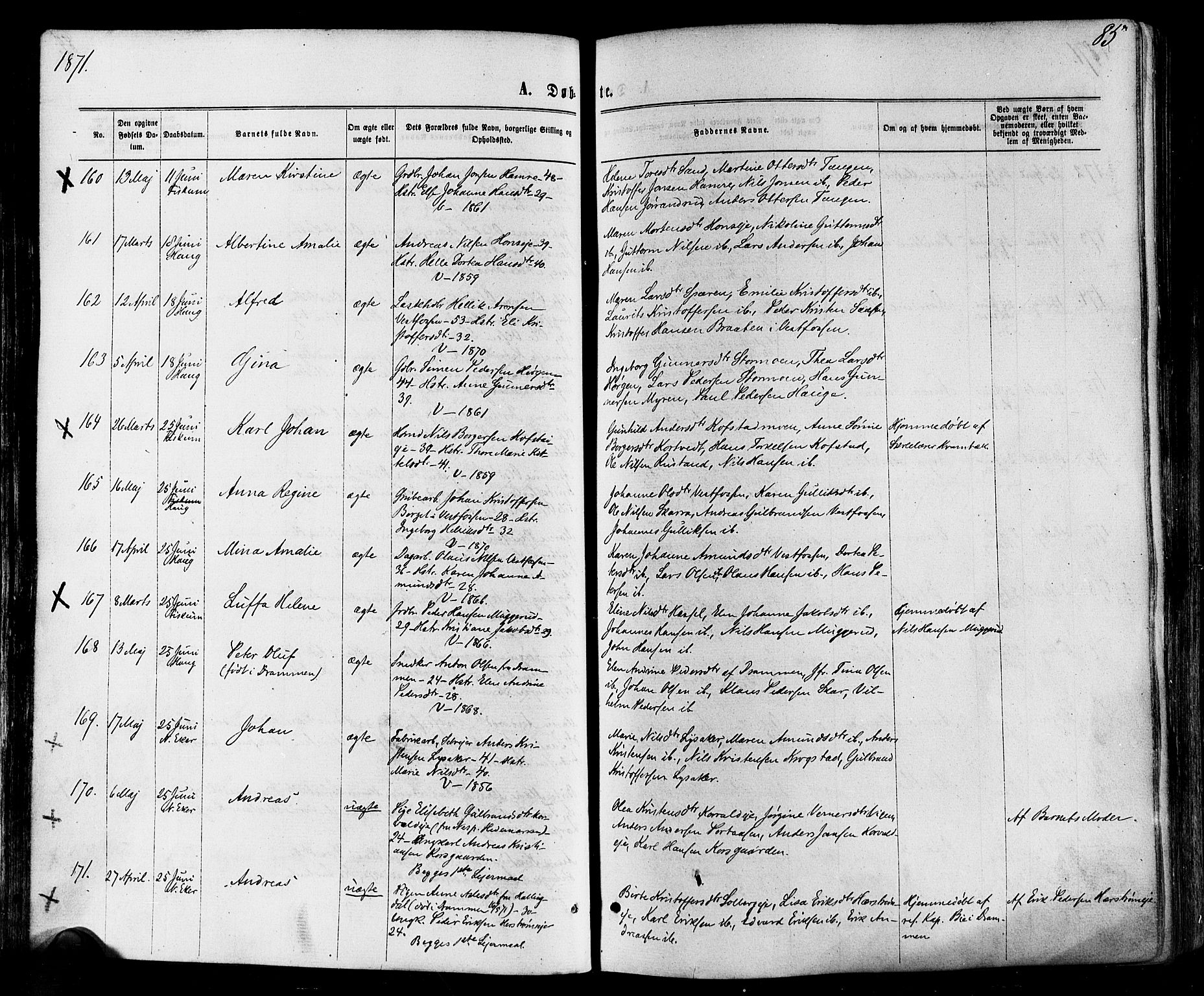 Eiker kirkebøker, AV/SAKO-A-4/F/Fa/L0017: Parish register (official) no. I 17, 1869-1877, p. 85