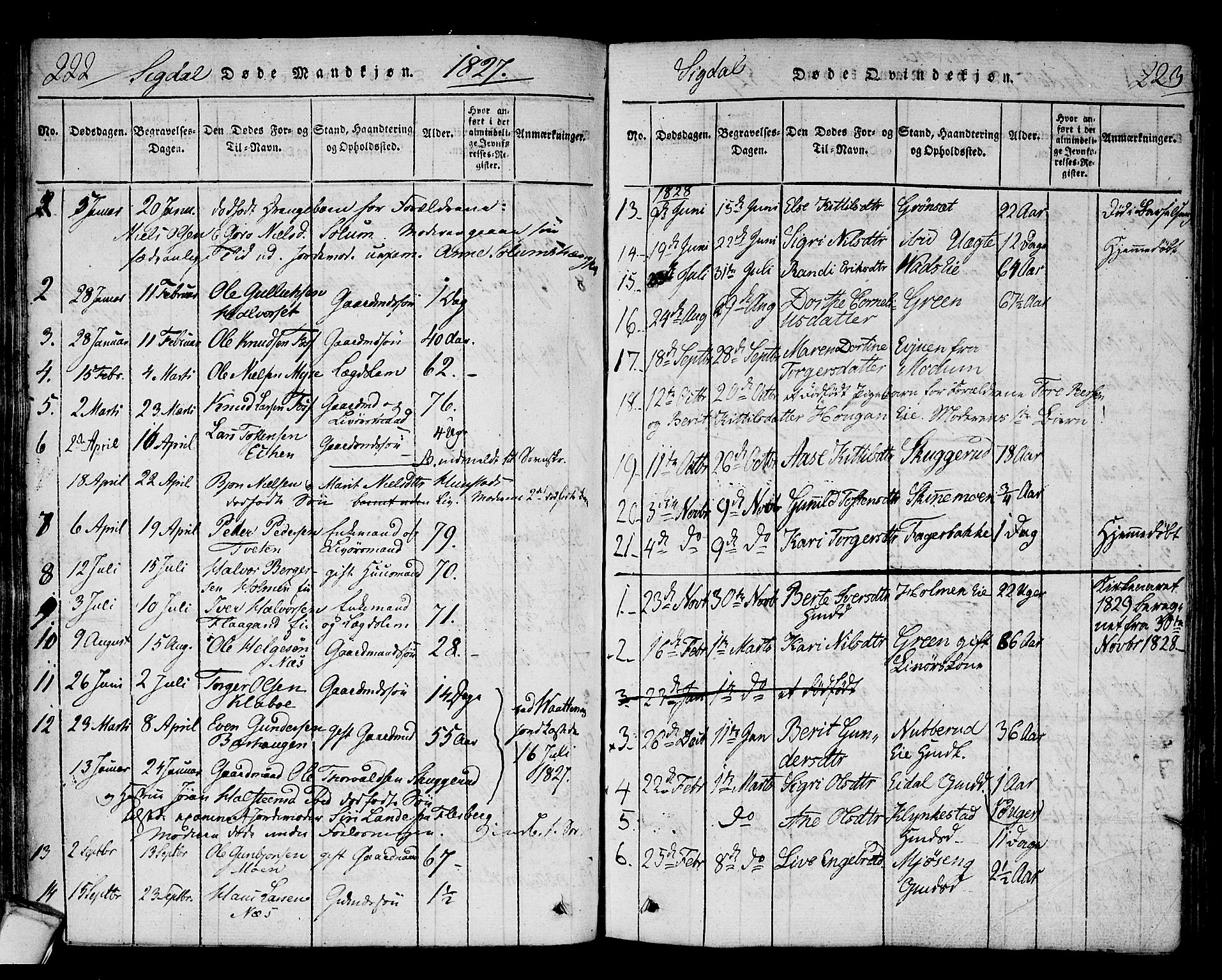 Sigdal kirkebøker, SAKO/A-245/F/Fa/L0005: Parish register (official) no. I 5 /1, 1815-1829, p. 222-223